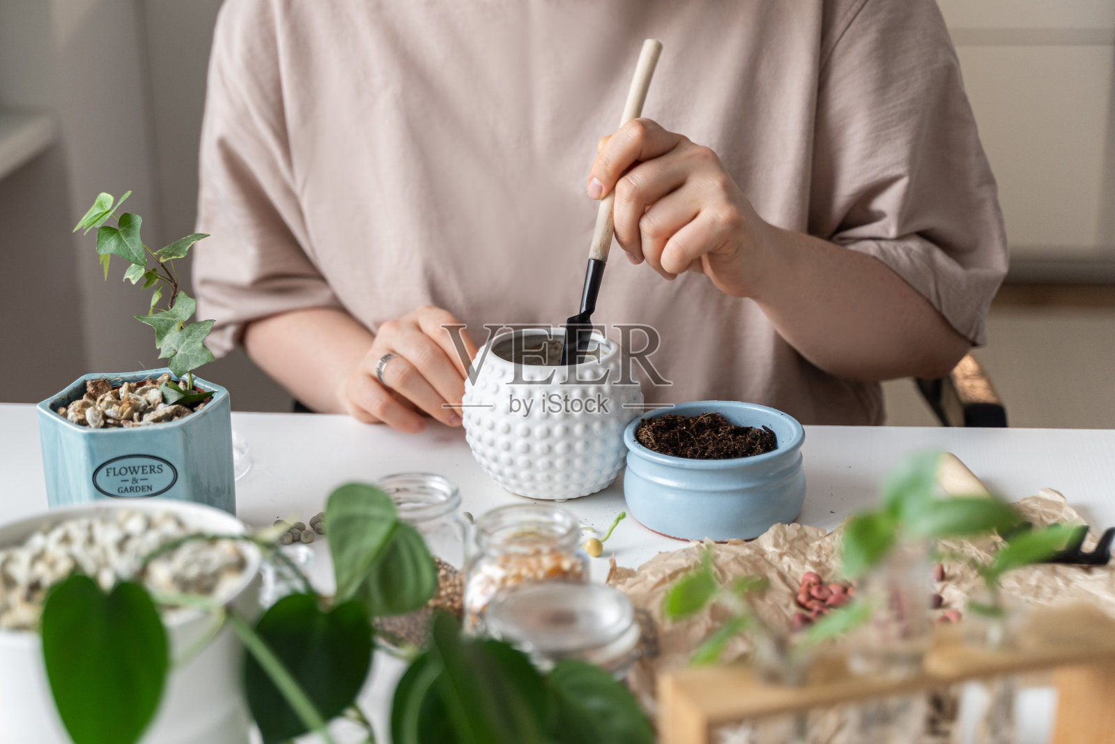 女人在家里的花园里照料植物。工厂的转移。副本的空间。健康生活，舒适家居的理念。照片摄影图片