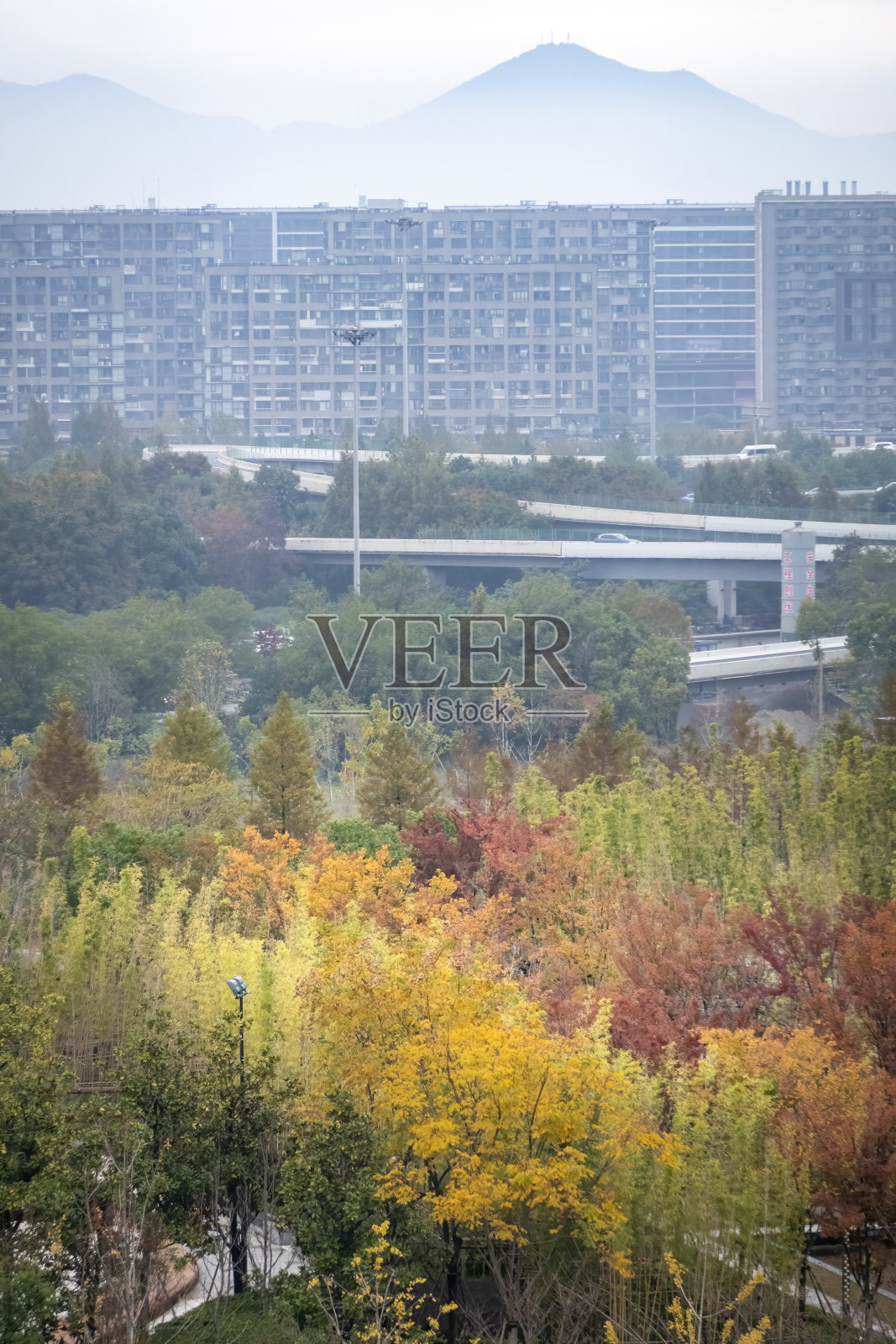 小区楼下花园的秋色照片摄影图片