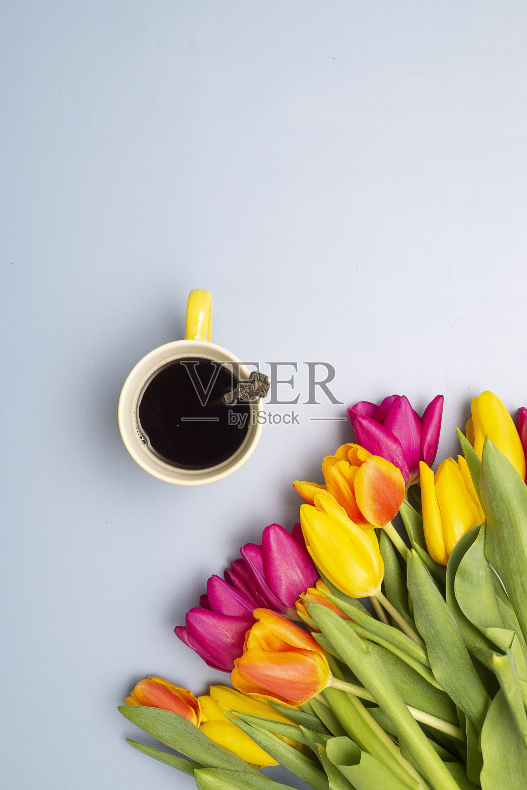 蓝色背景的彩色郁金香花束照片摄影图片