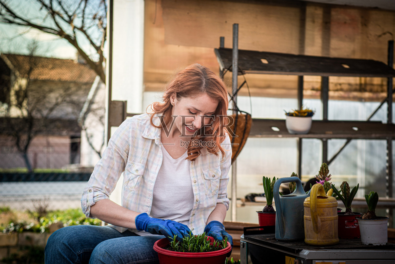 女孩正在花店里播种照片摄影图片