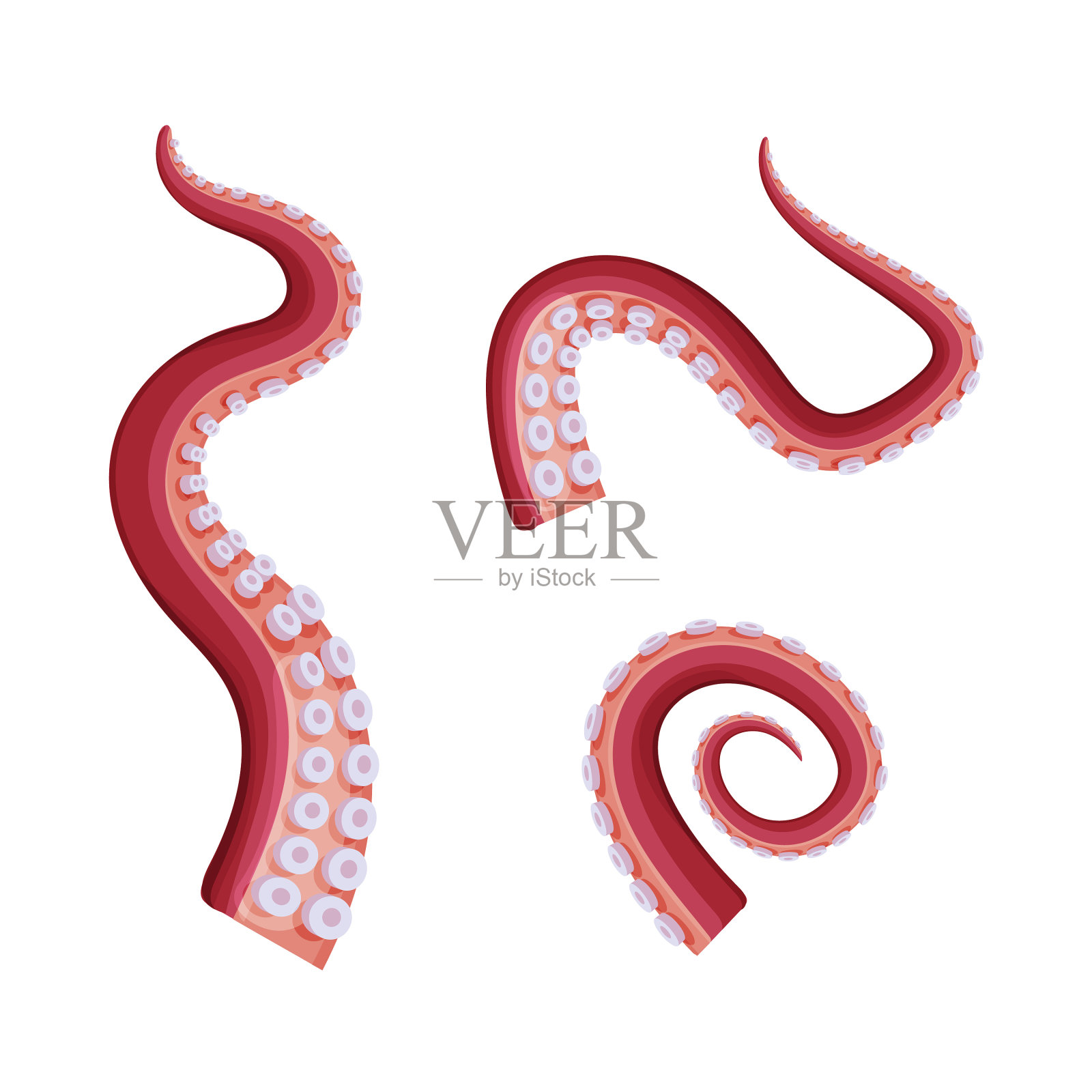 水下装有吸盘的章鱼触手插画图片素材