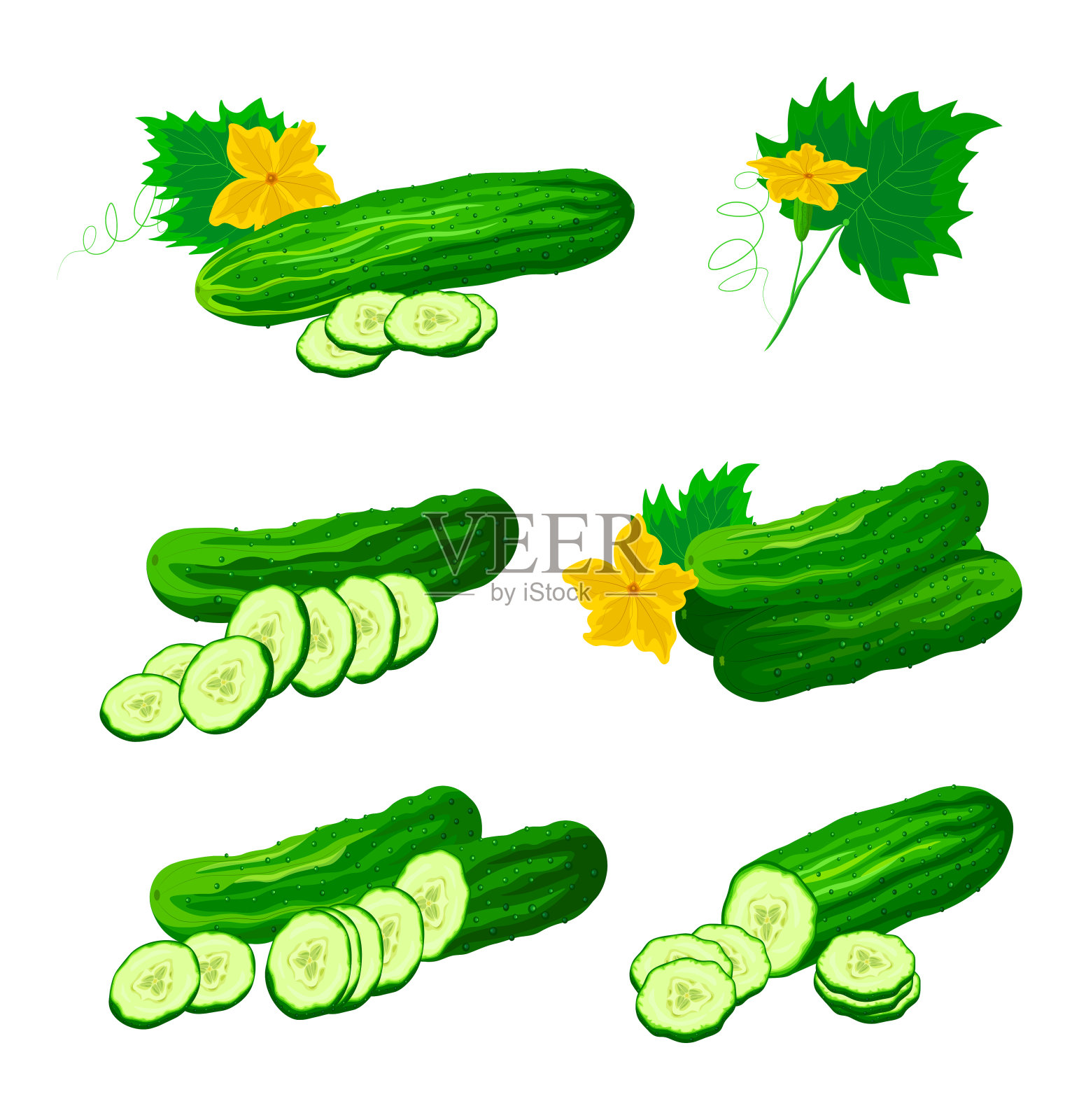 一套新鲜的绿色黄瓜卡通风格蔬菜整体和切成薄片和一半的矢量插图大的