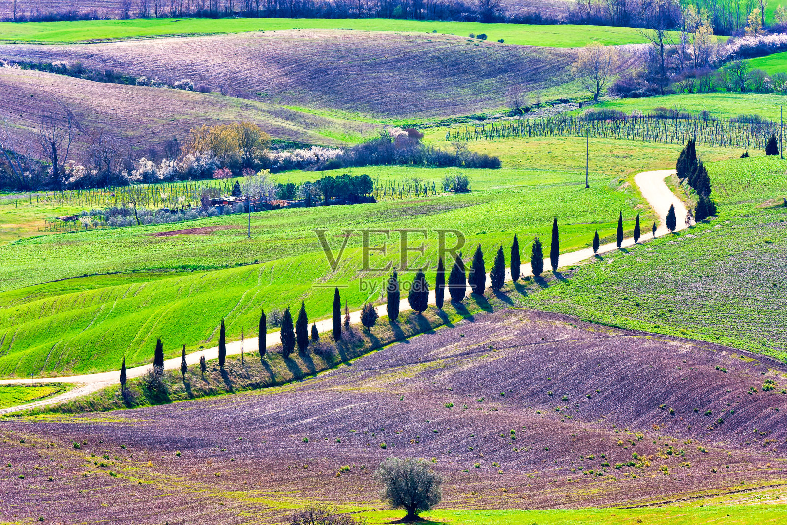 来自皮恩扎的城墙意大利托斯卡纳的完美城市照片摄影图片
