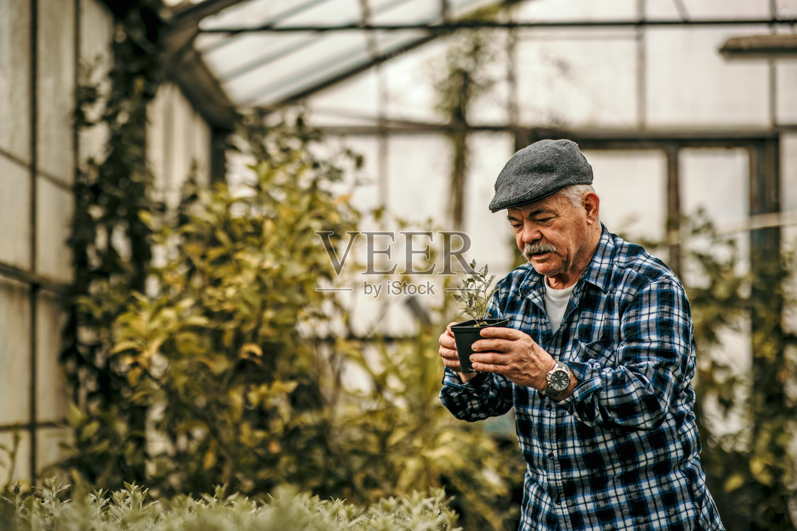 高级的园丁照片摄影图片