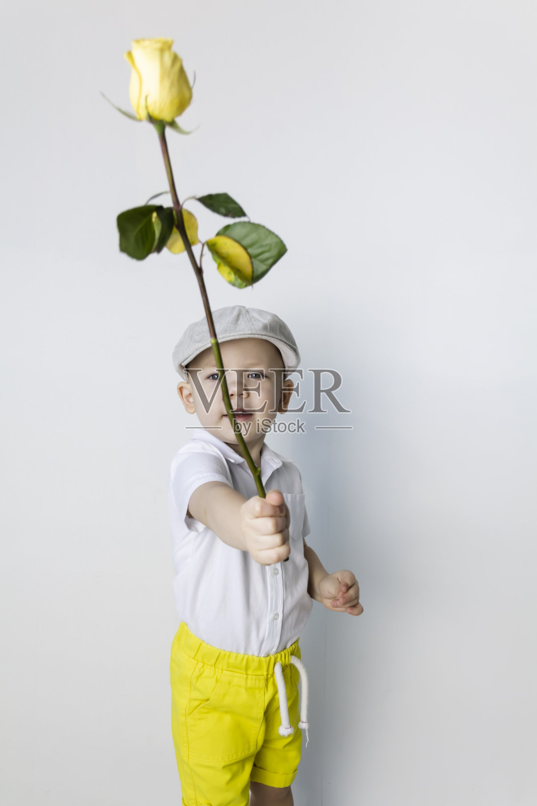 一个复古风格的小男孩，手里拿着一朵黄玫瑰，站在一堵白墙旁边。照片摄影图片