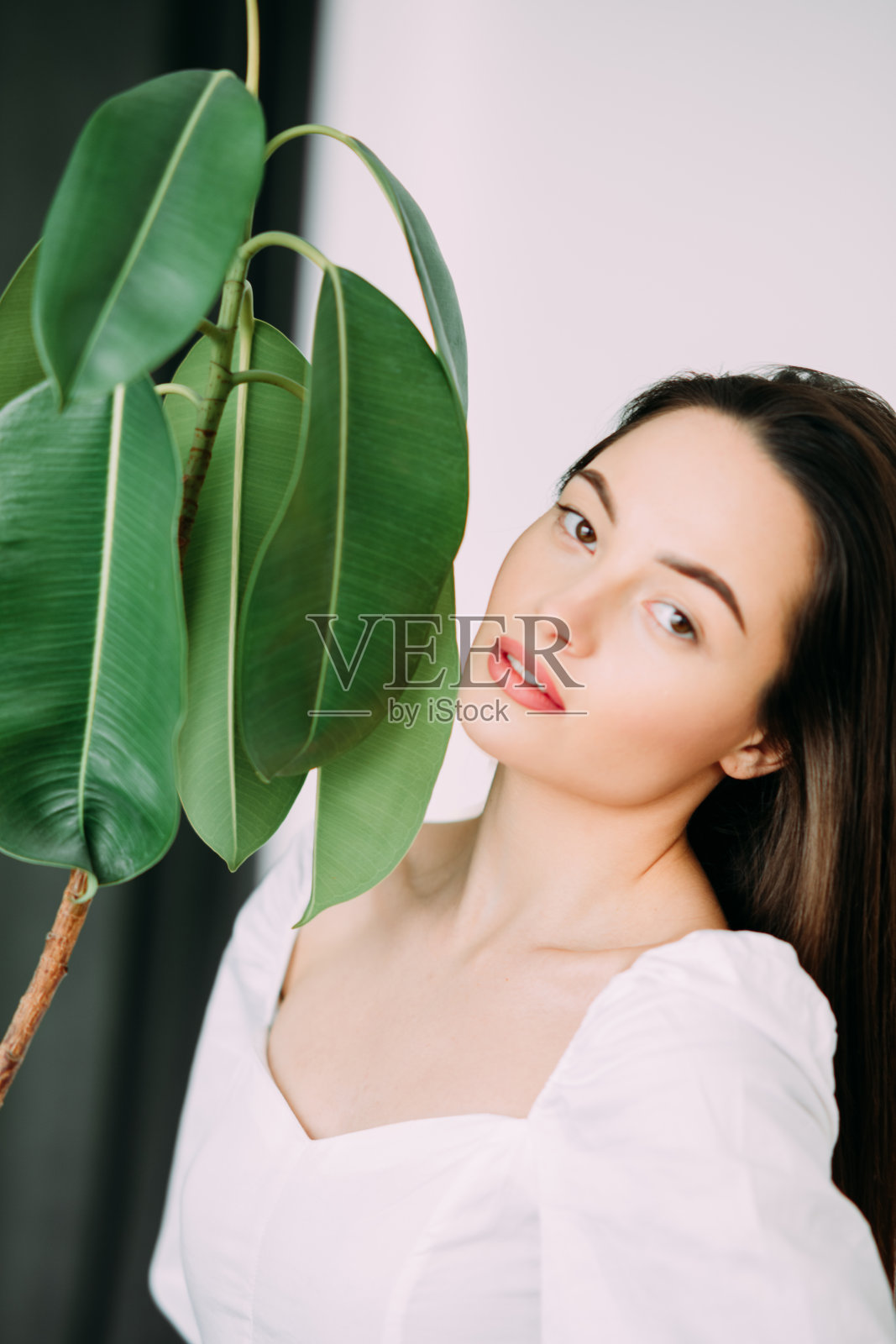 无花果室内植物旁的女人肖像。照片摄影图片