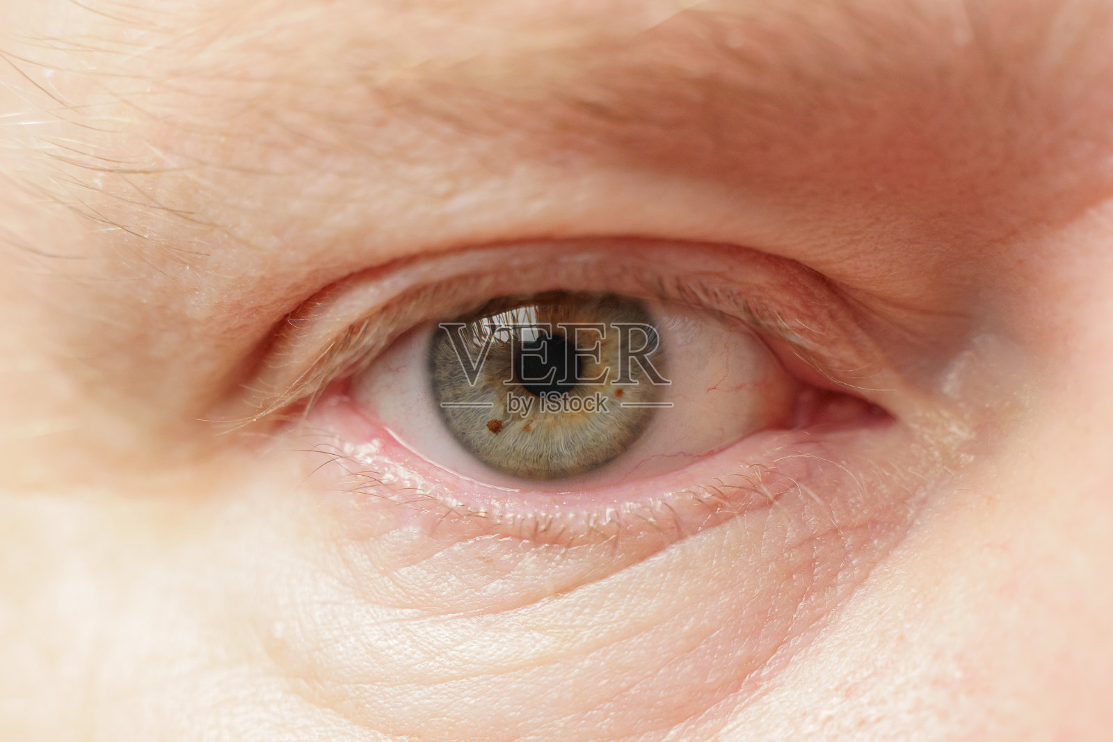 白人男性的右眼特写，软聚焦。人的瞳孔是绿灰色的照片摄影图片