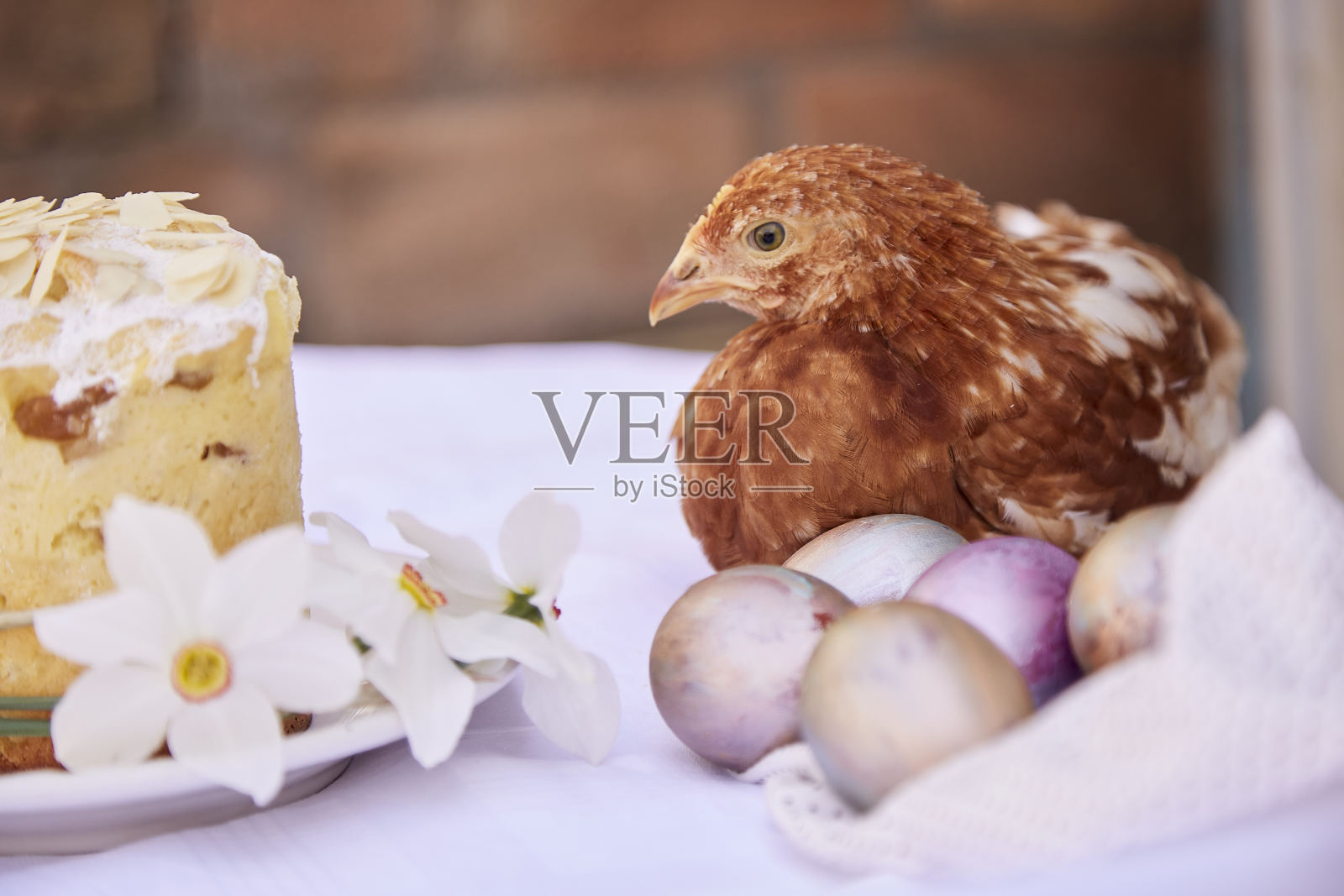 彩色彩蛋，水仙花，复活节蛋糕和鸡。复活节明信片的概念。节日明信片。农舍核和自然核美学照片摄影图片