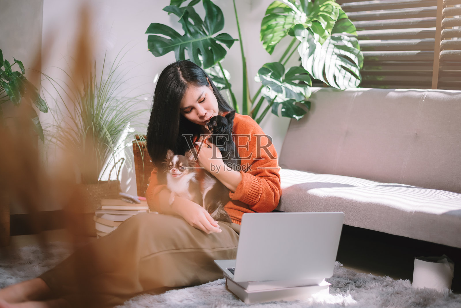 年轻的亚洲妇女使用笔记本电脑工作在家里与可爱的小狗狗在客厅，宠物情人的概念照片摄影图片