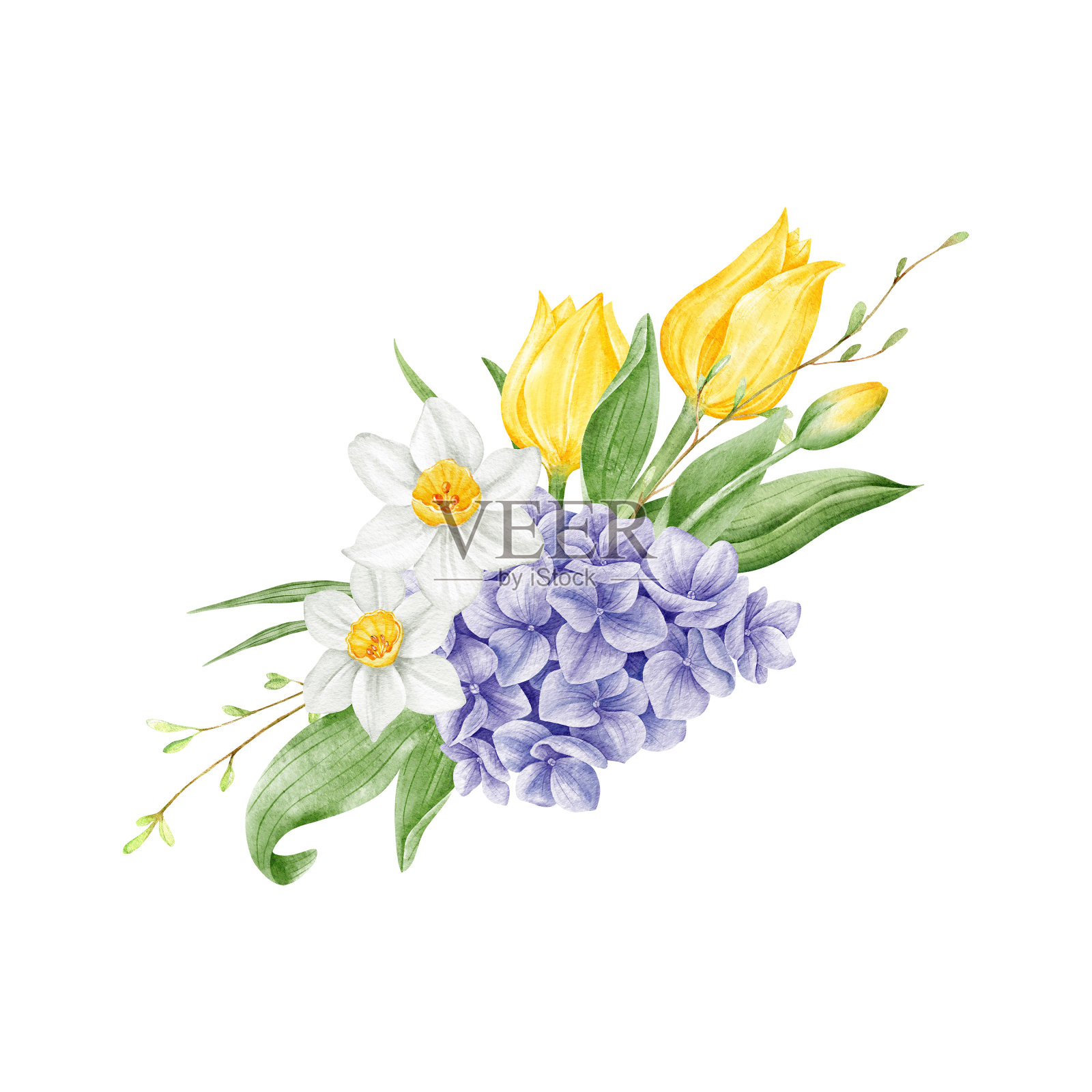 水彩春花花束插画图片素材