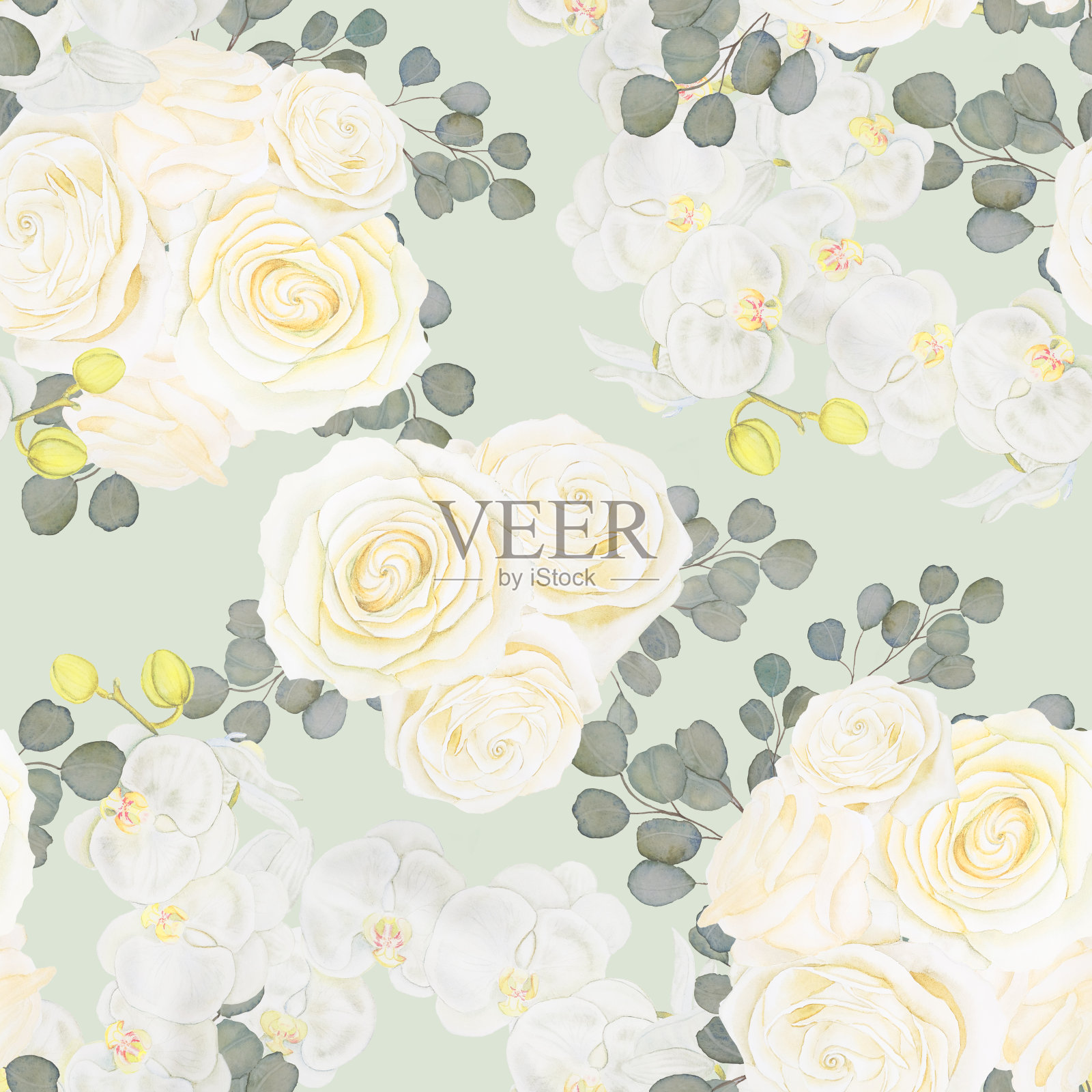白玫瑰和兰花在浅绿色背景无缝水彩图案。经典的花卉壁纸。印刷在织物和包装纸上。插画图片素材