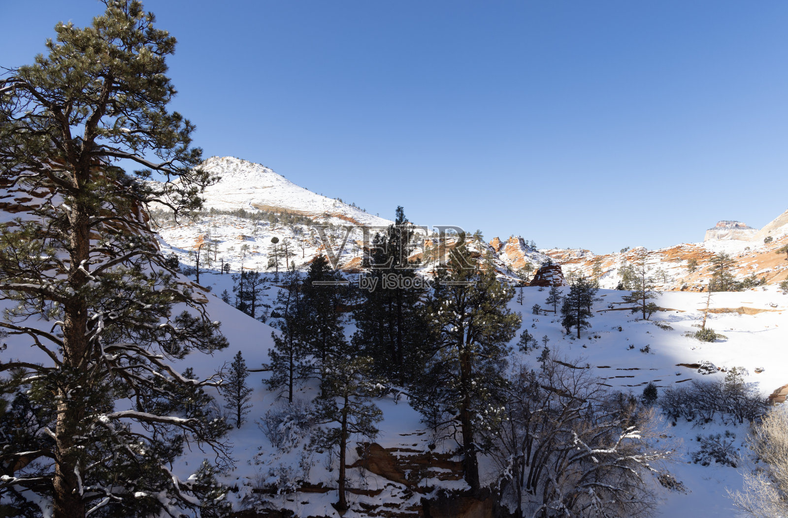 冬天锡安国家公园被大雪覆盖照片摄影图片