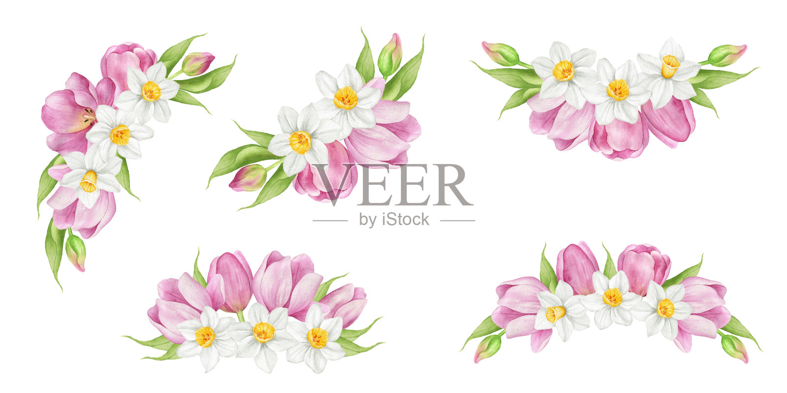 水彩粉红色郁金香花束插画图片素材