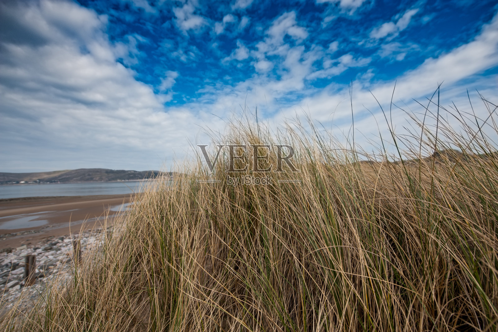 沙丘和编织草照片摄影图片