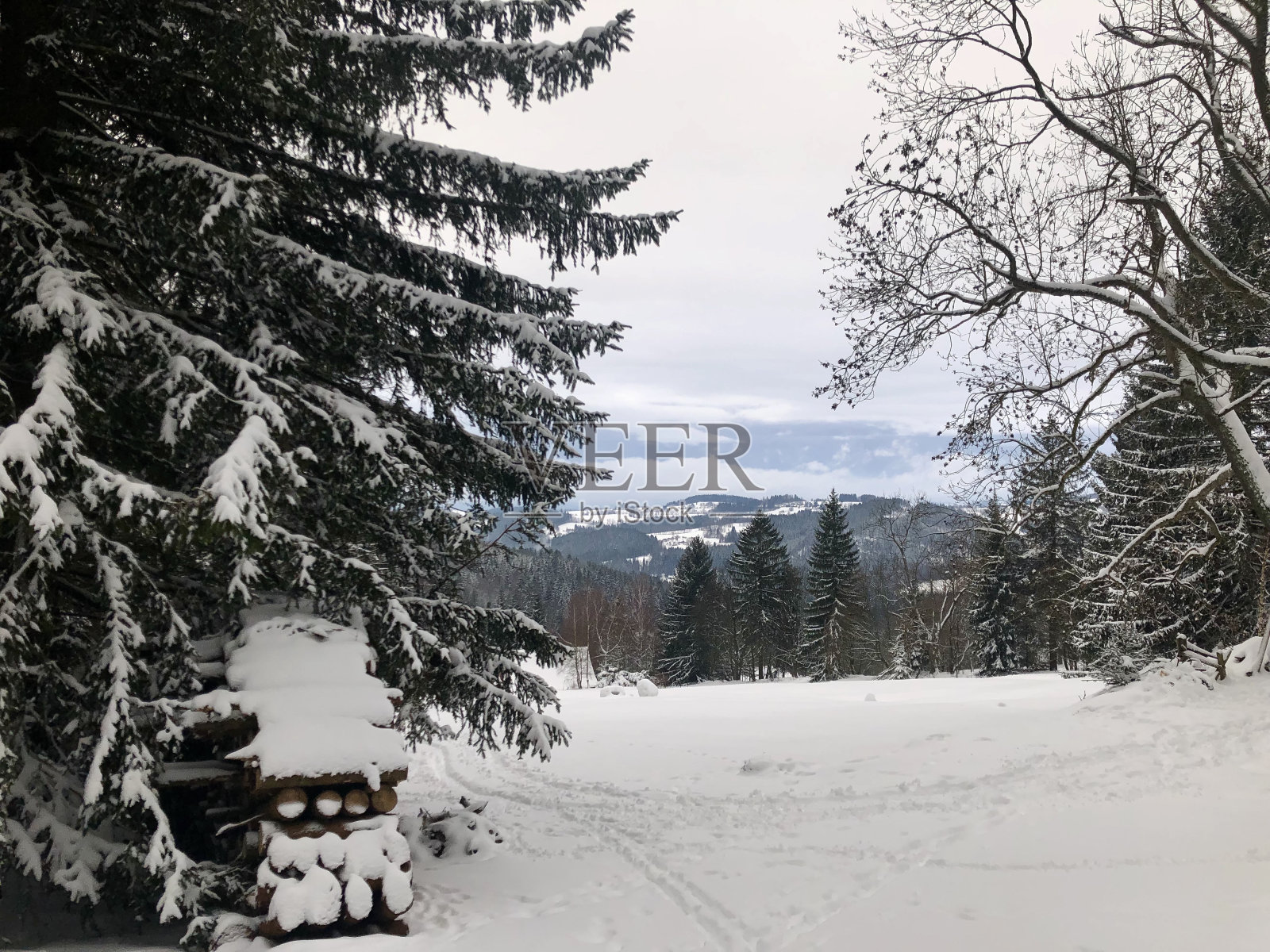 冬天照片摄影图片