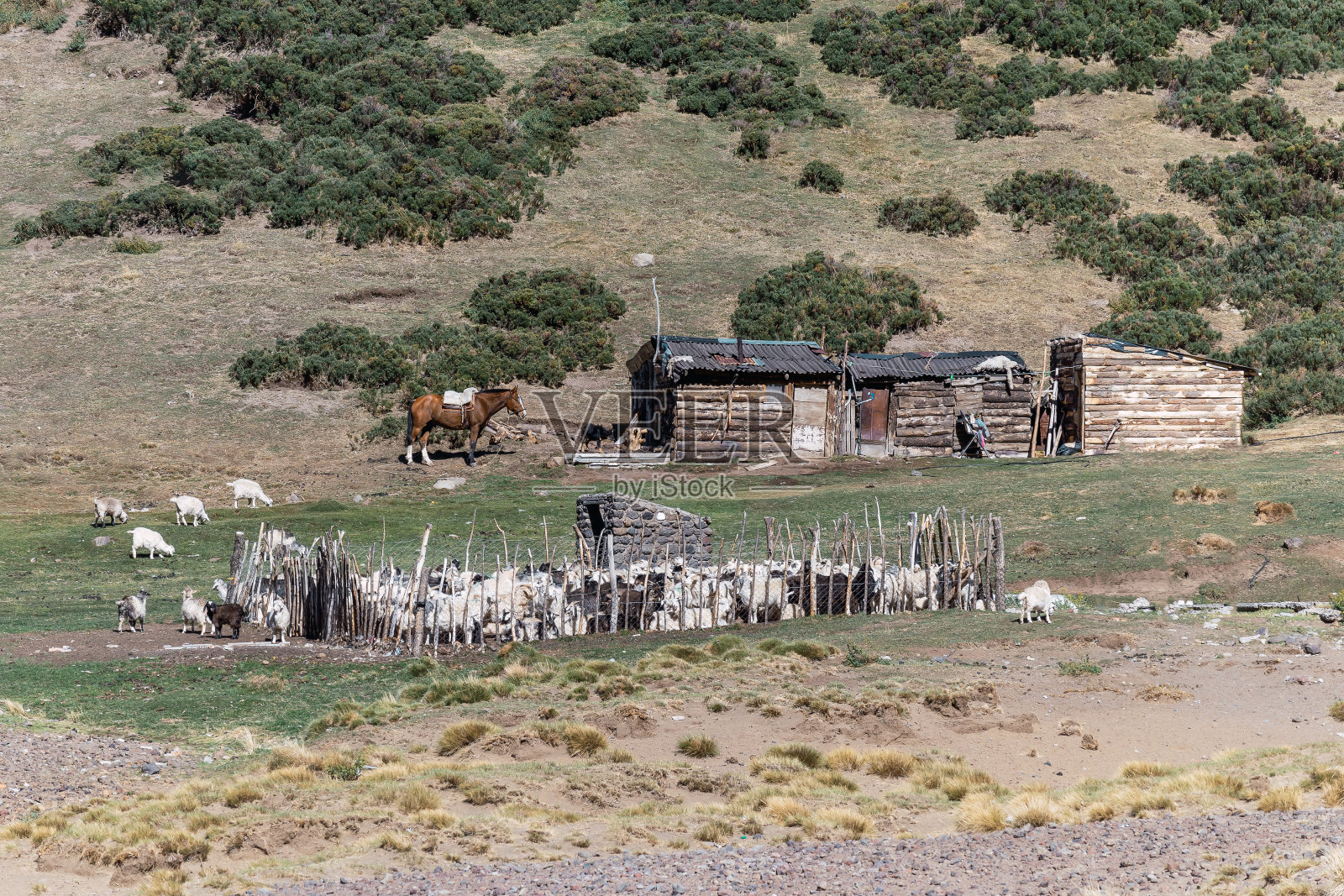 紧挨着牛栏的乡村别墅。安第斯山脉的夏季。照片摄影图片
