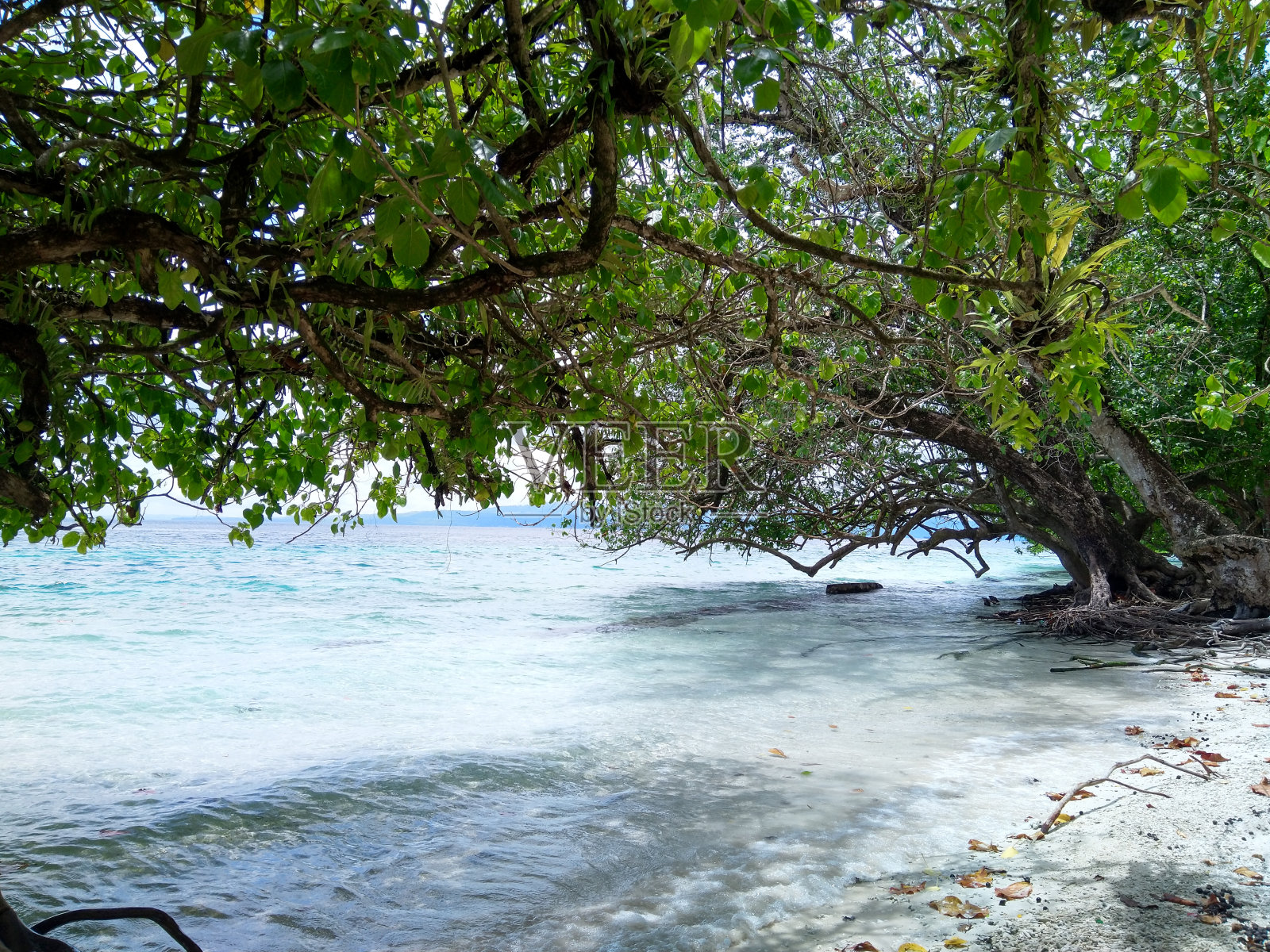 梁海滩， 安汶照片摄影图片
