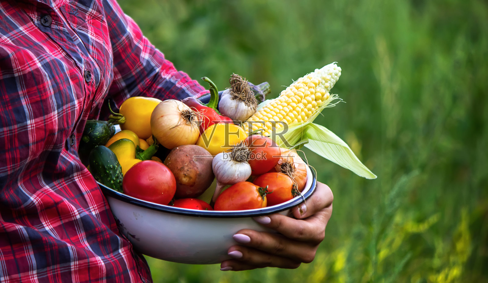 花园里的女人手里拿着蔬菜。有选择性的重点。照片摄影图片