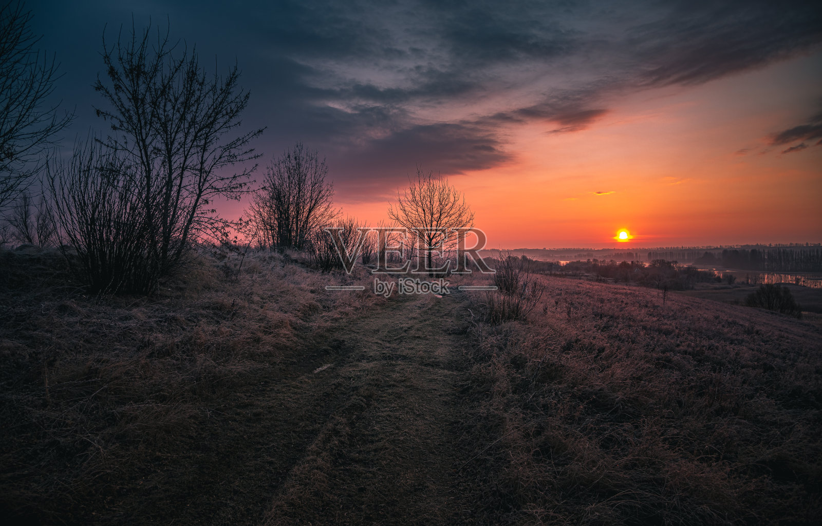 田野中的冬日清晨照片摄影图片