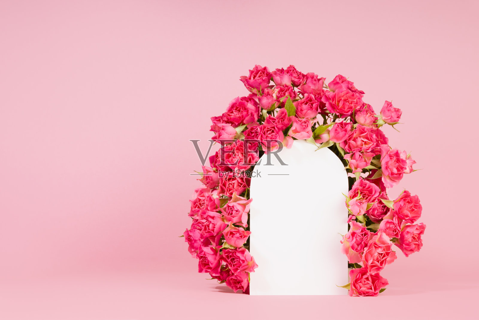 优雅的框架白色拱门的新鲜的粉红色小玫瑰作为抽象的讲台在粉红色的舞台上展示化妆品产品，模型，复制空间。婚礼请柬、广告、设计模板。照片摄影图片