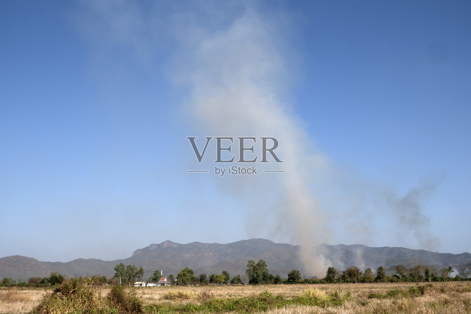 稻田收割后燃烧秸秆。照片摄影图片