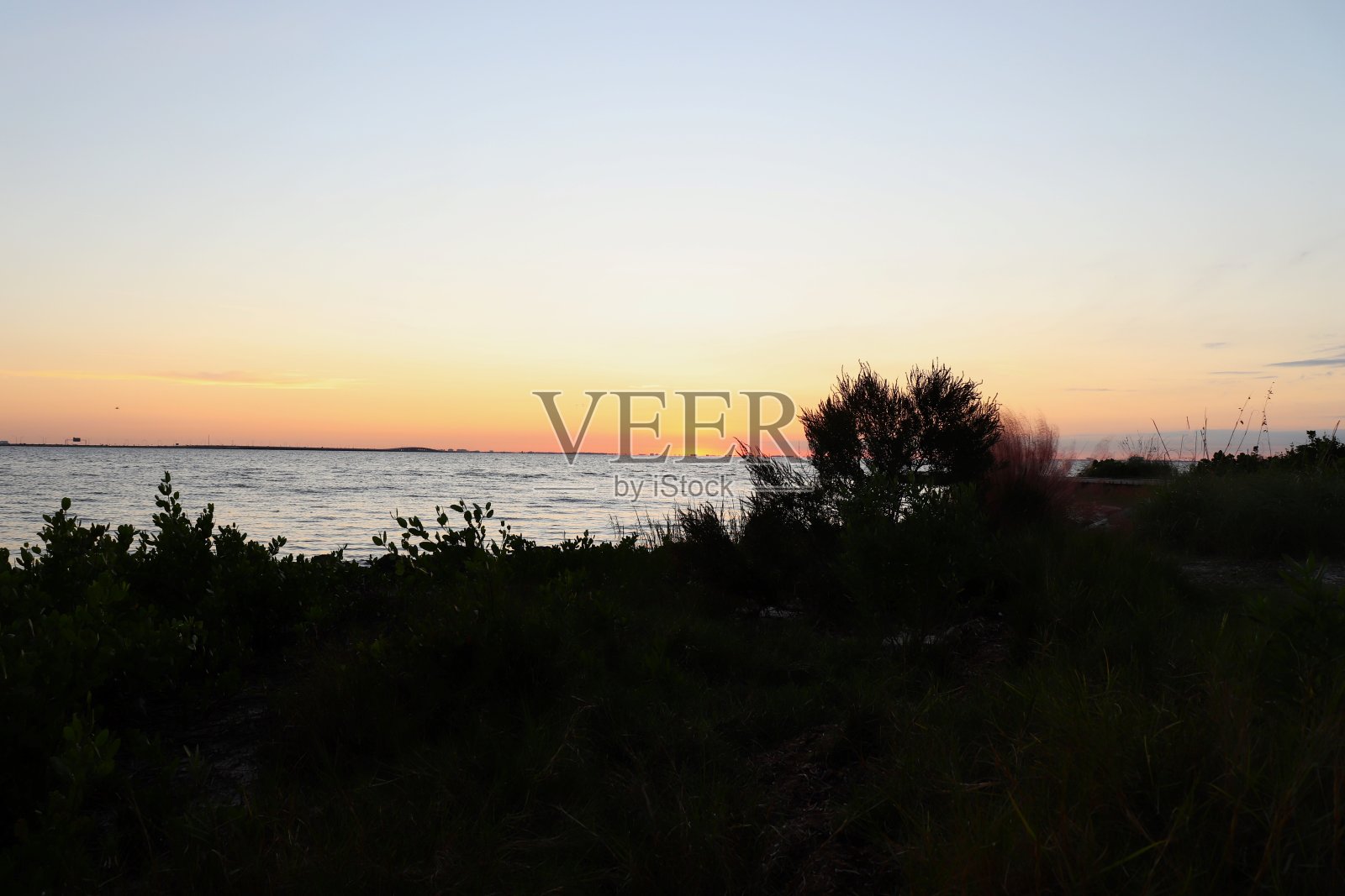 日落的柏树点公园照片摄影图片