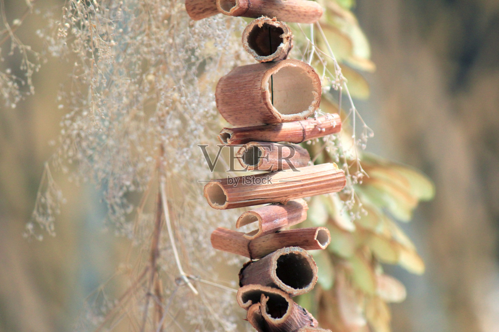 复古风格的作品，波西米亚风格，动作捕捉照片摄影图片