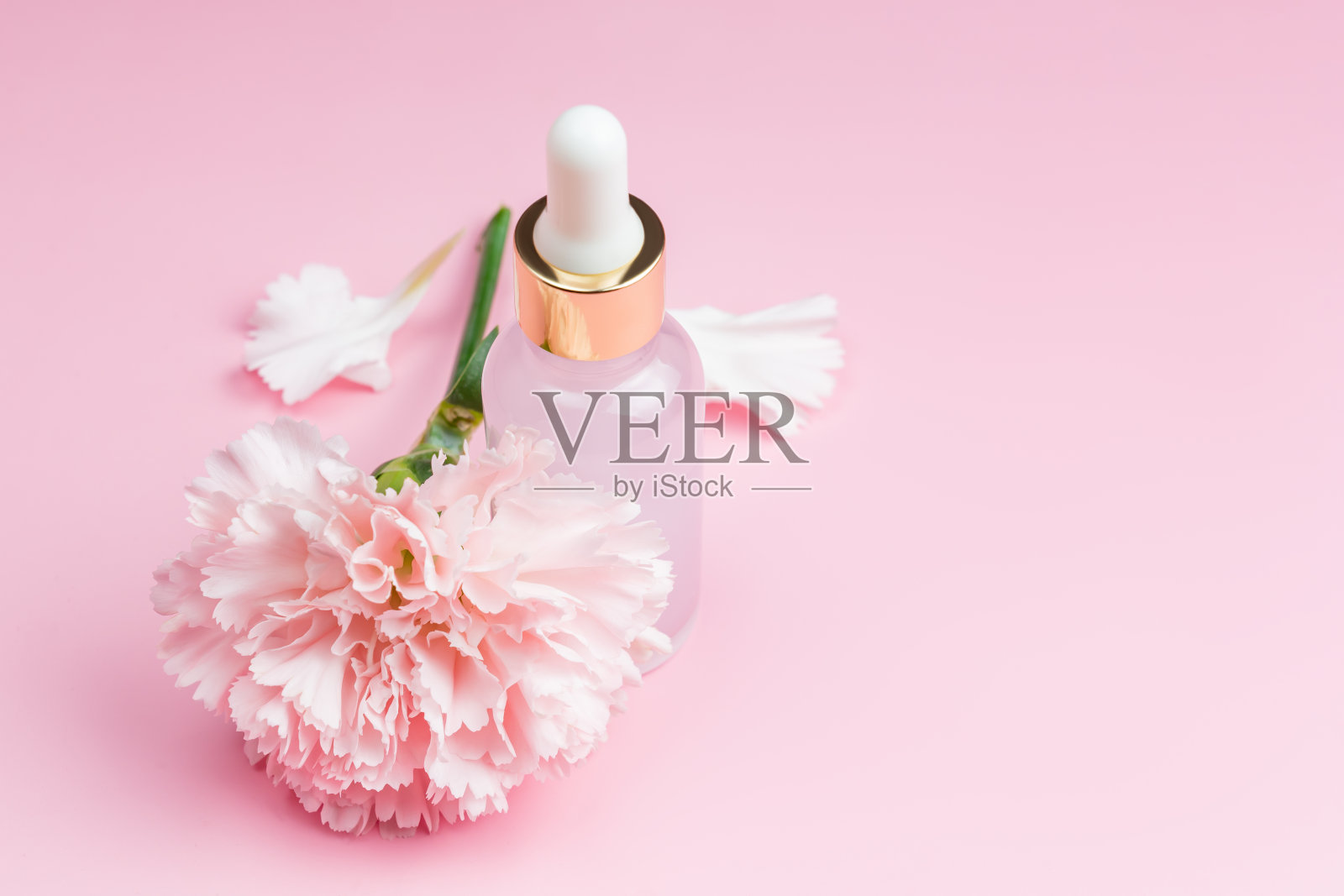 透明的玻璃化妆品瓶，带有滴管，粉红色的背景上涂有天然精油或美容精华液。天然化妆品概念，天然精油及护肤品照片摄影图片