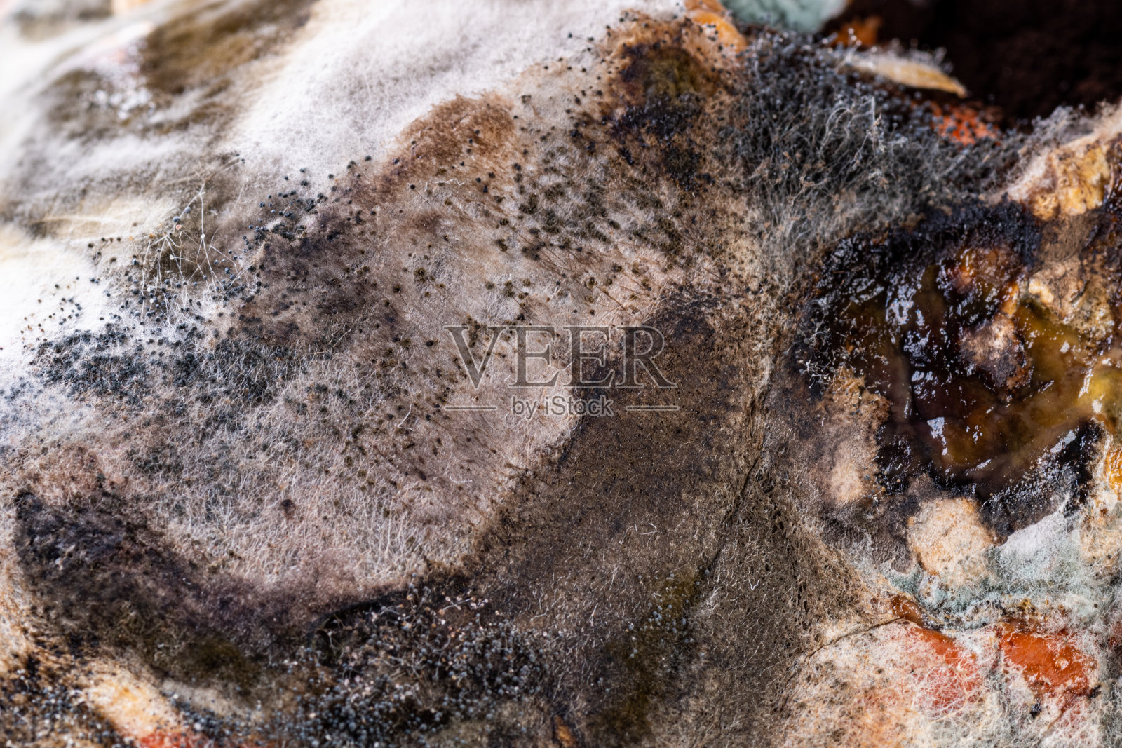 质地上有各种有毒的霉菌、孢子、真菌，对果实有宏观影响。有机,医学研究。水果上有霉菌的真菌照片摄影图片