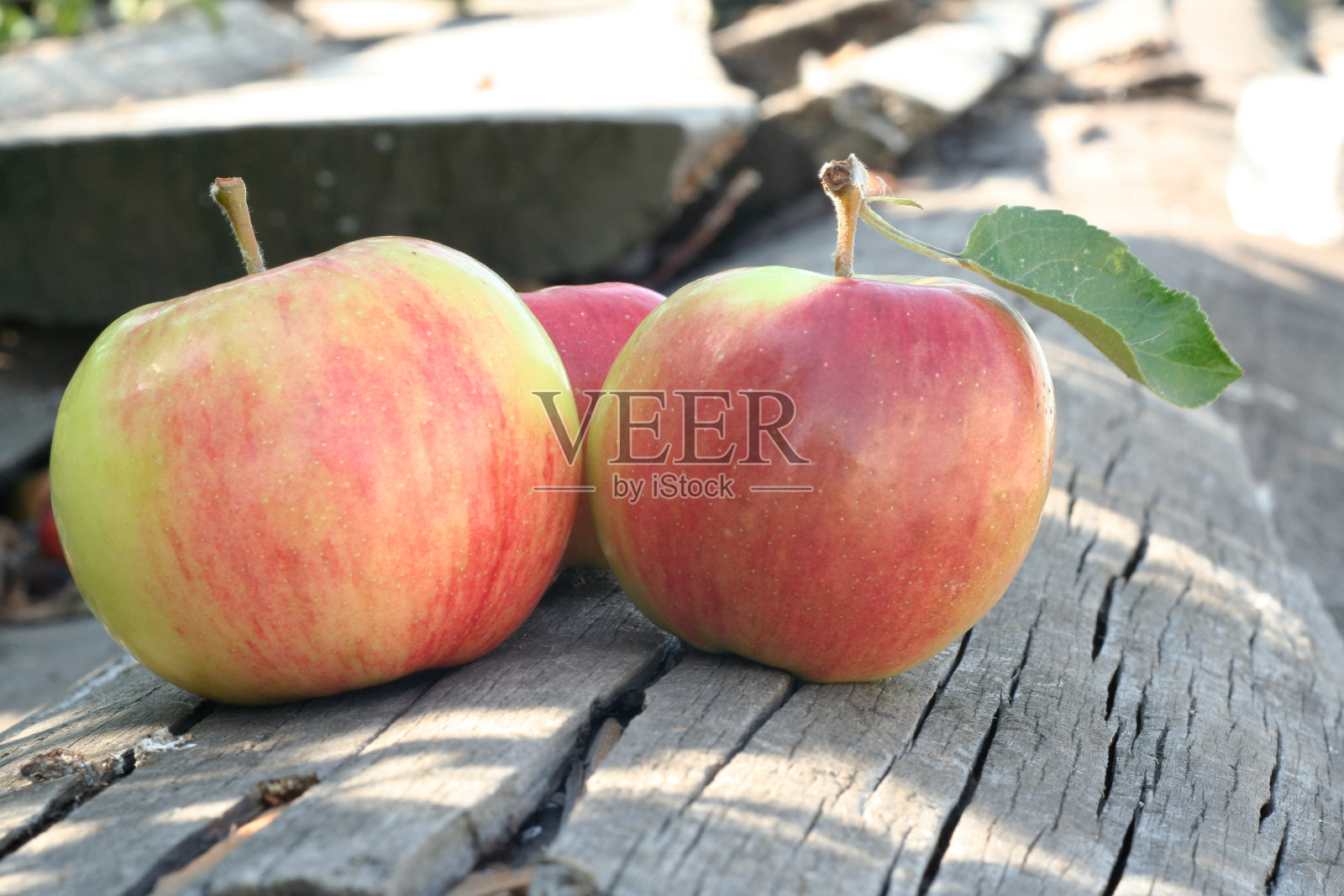 三个新鲜的红苹果在旧的木制背景，特写。静物从三个成熟的苹果出版，海报，日历，帖子，屏保，壁纸，明信片，横幅，封面，网站照片摄影图片