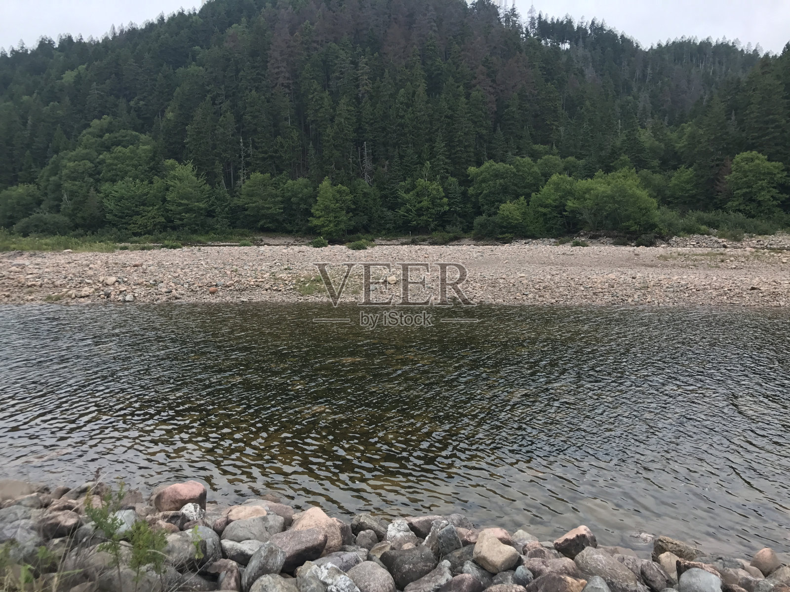 新不伦瑞克自然保护照片摄影图片