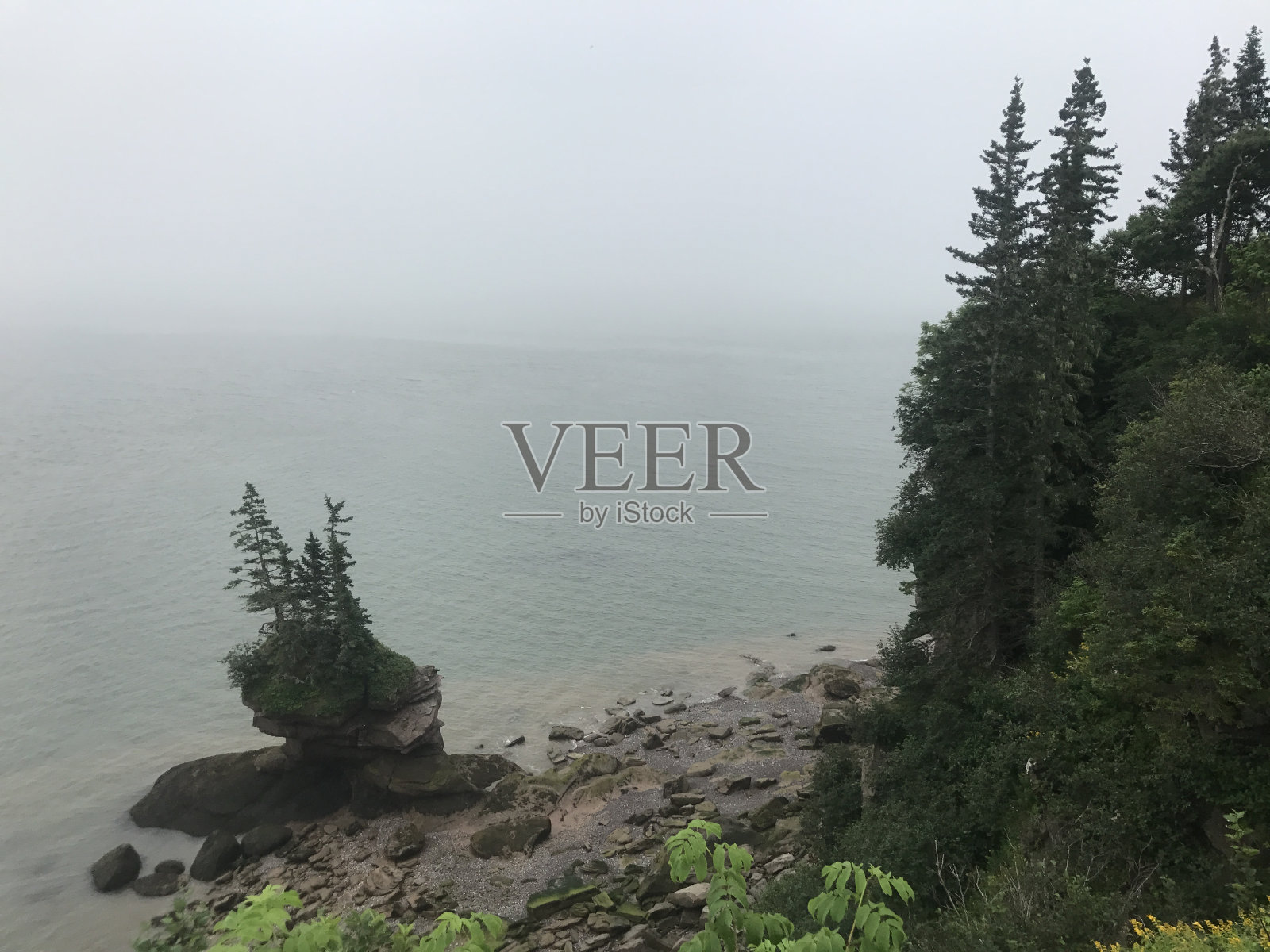 新不伦瑞克自然保护照片摄影图片