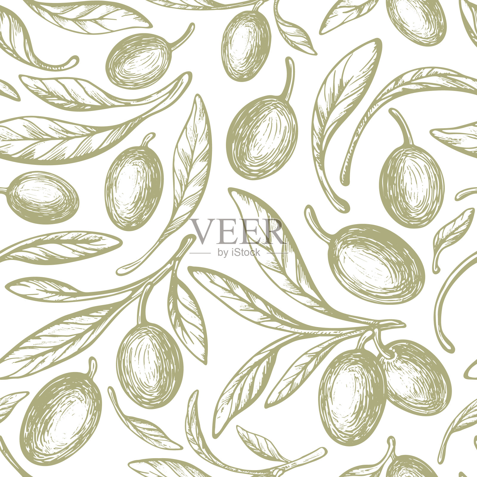 橄榄生物打印。乡村的叶子，绿色的水果向量插画图片素材