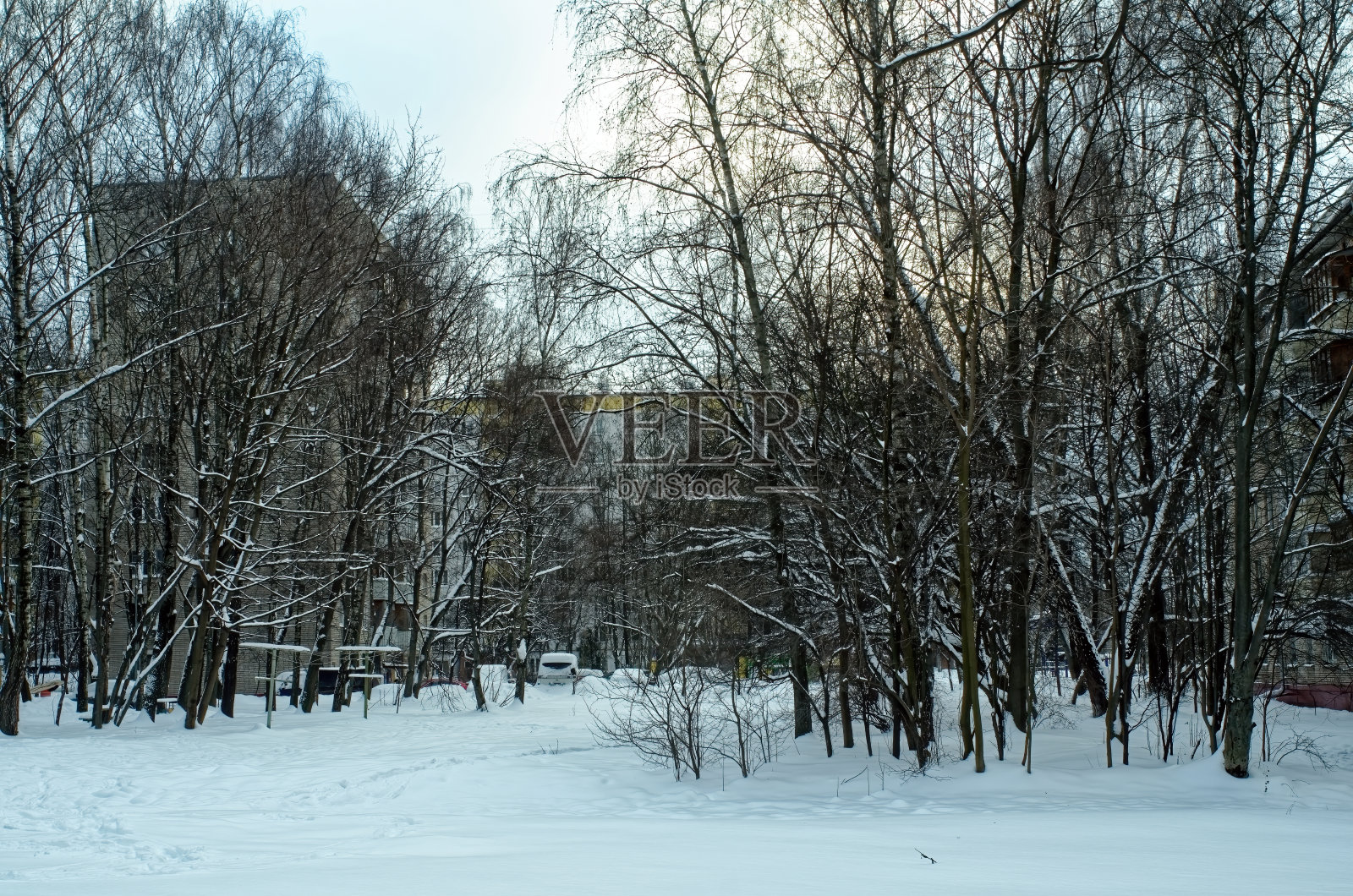 住宅区白雪覆盖的院子照片摄影图片