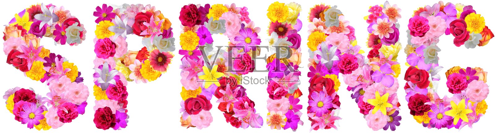 春天照片摄影图片