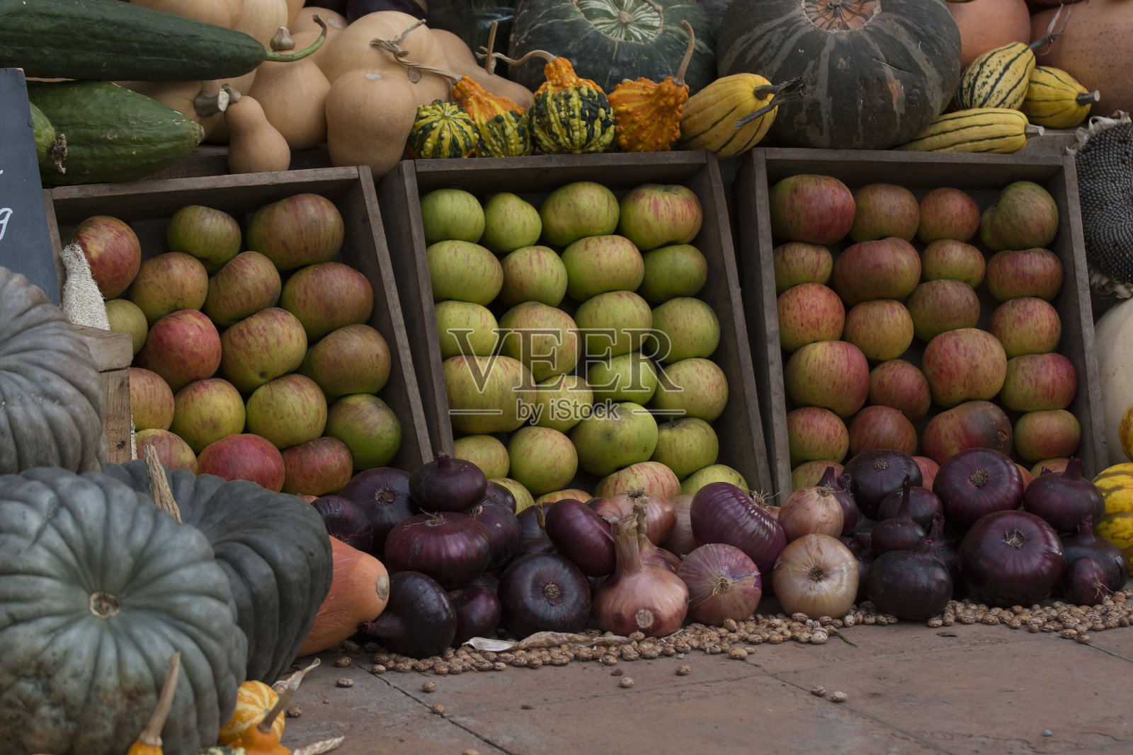 排列几种彩色的南瓜显示照片摄影图片