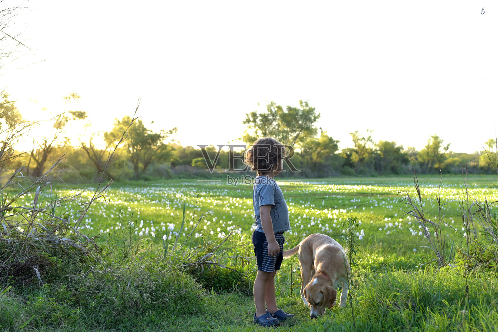 孩子享受户外生活照片摄影图片