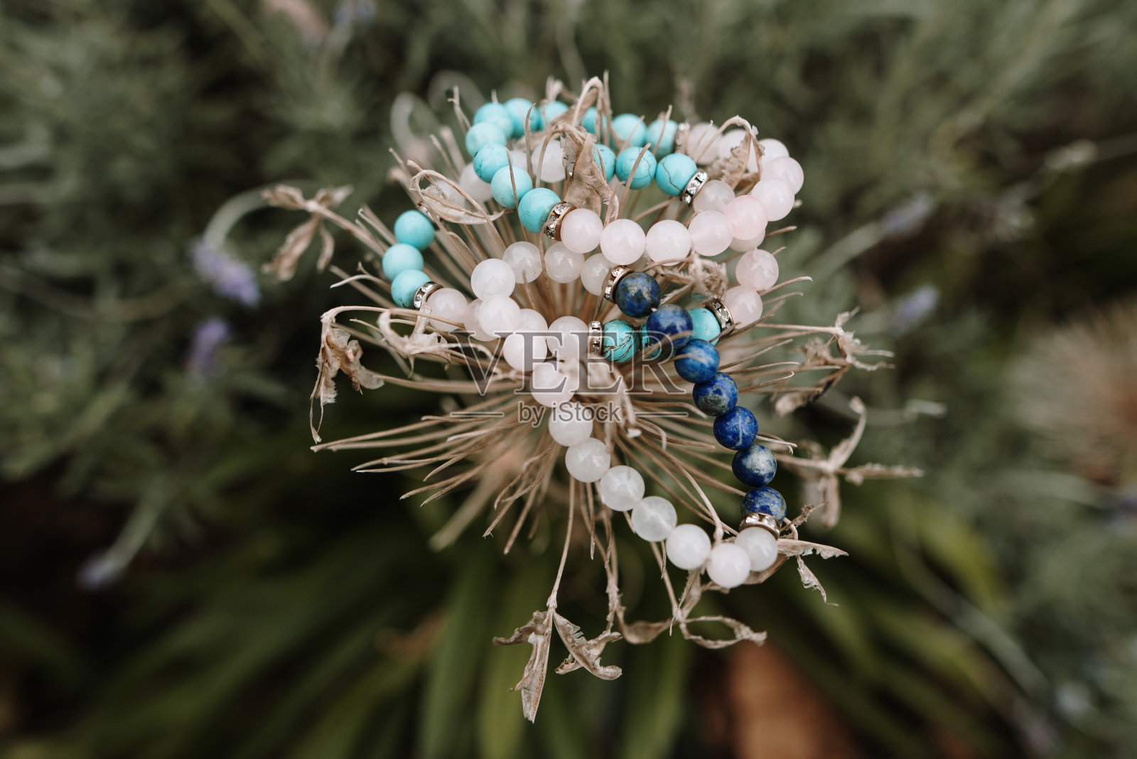 植物上的手镯照片摄影图片