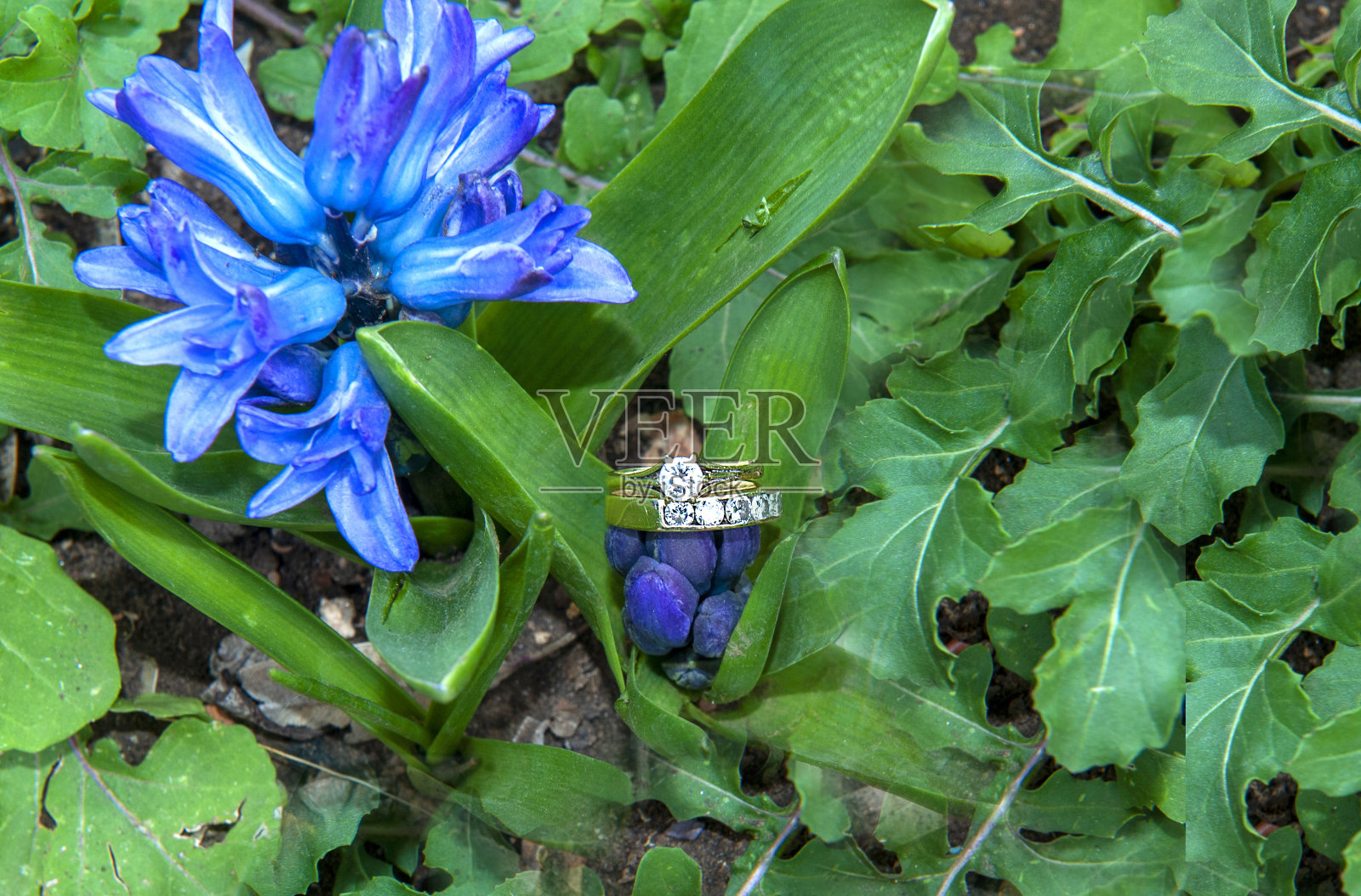 珠宝照片摄影图片