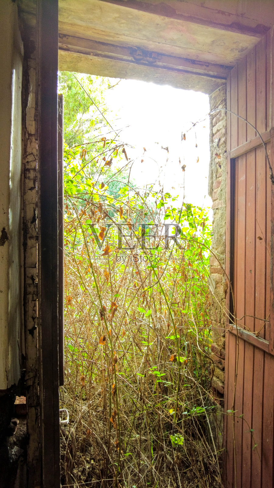 老房子毁了照片摄影图片