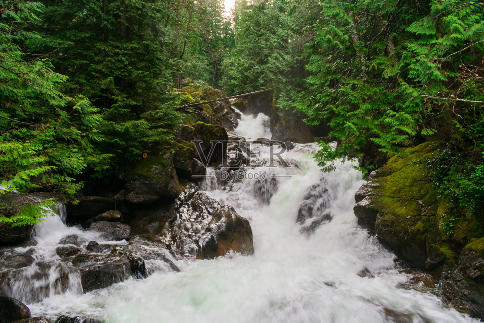 华盛顿史蒂文斯帕斯的欺骗瀑布照片摄影图片