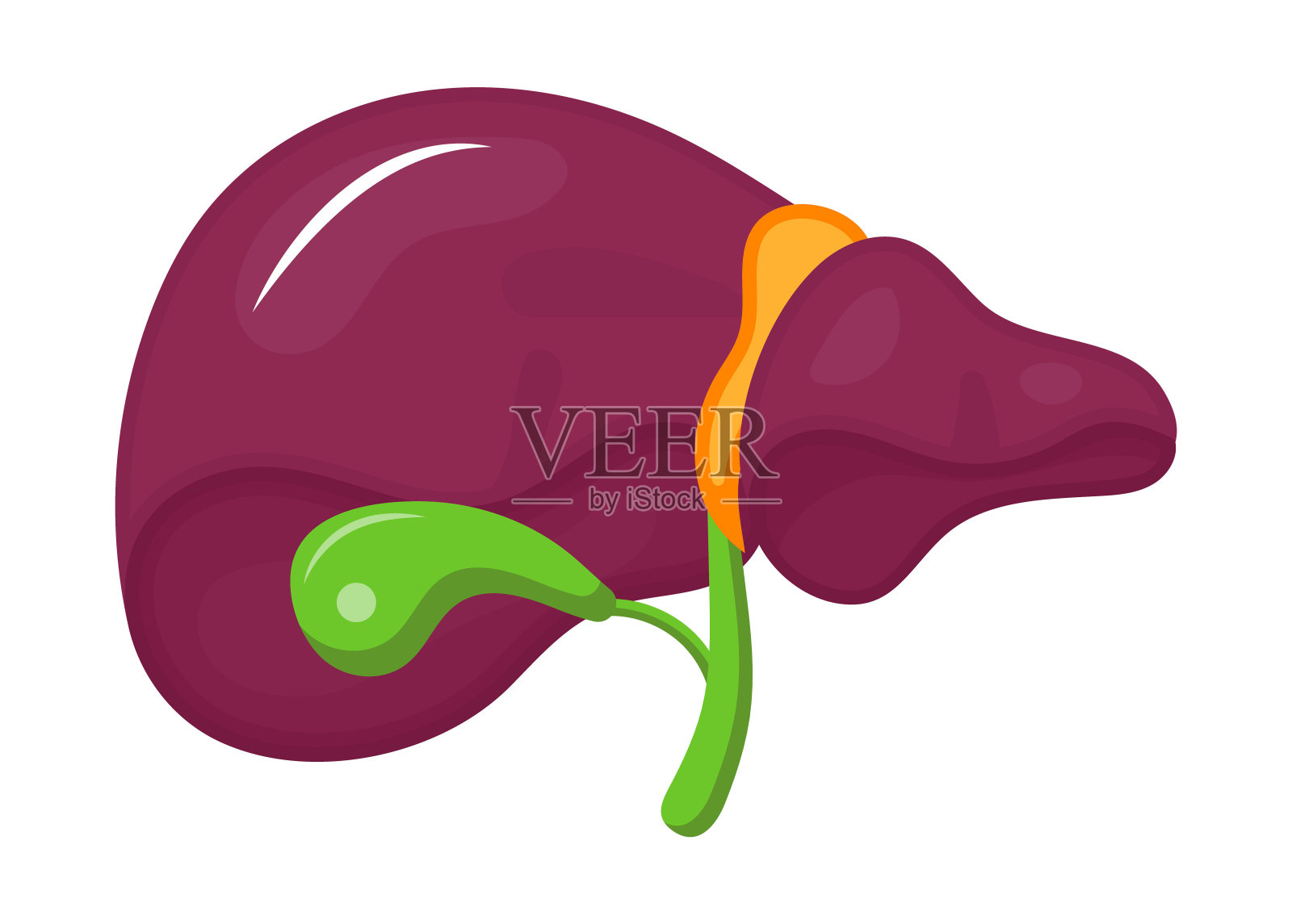 提出了用于网站和移动网站开发的平面图标矢量，应用程序。甲型，乙型，丙型，丙型肝炎是肝硬化的标志。插画图片素材