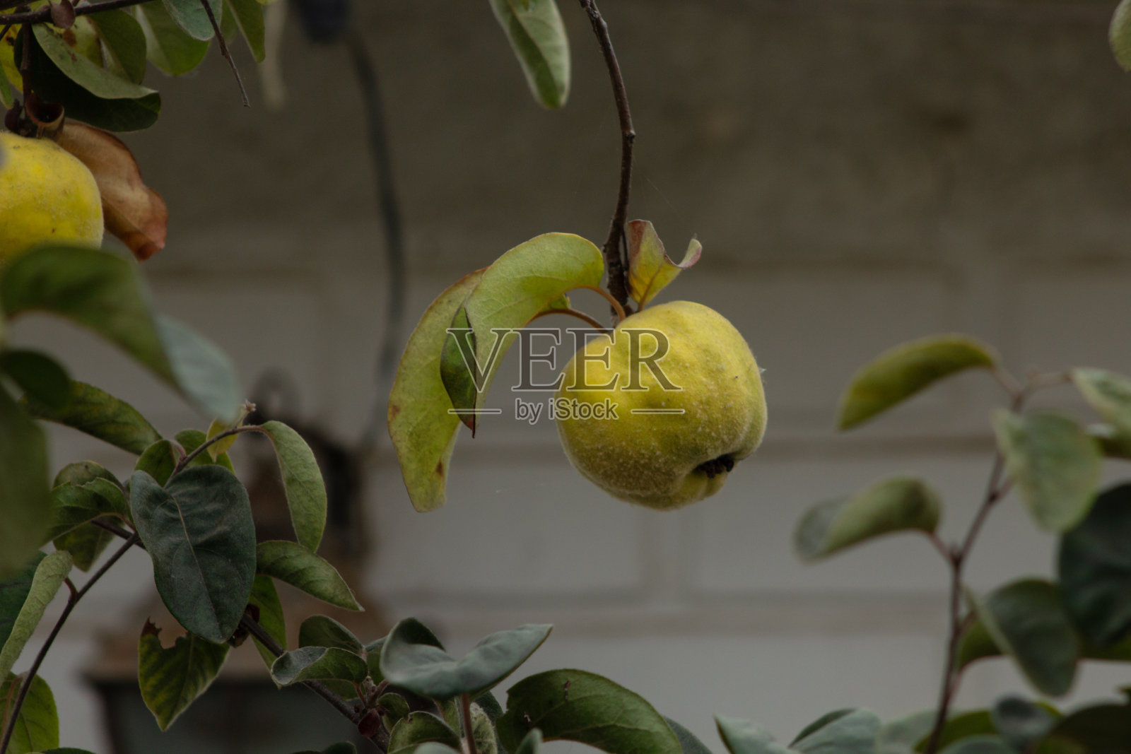 到15照片摄影图片