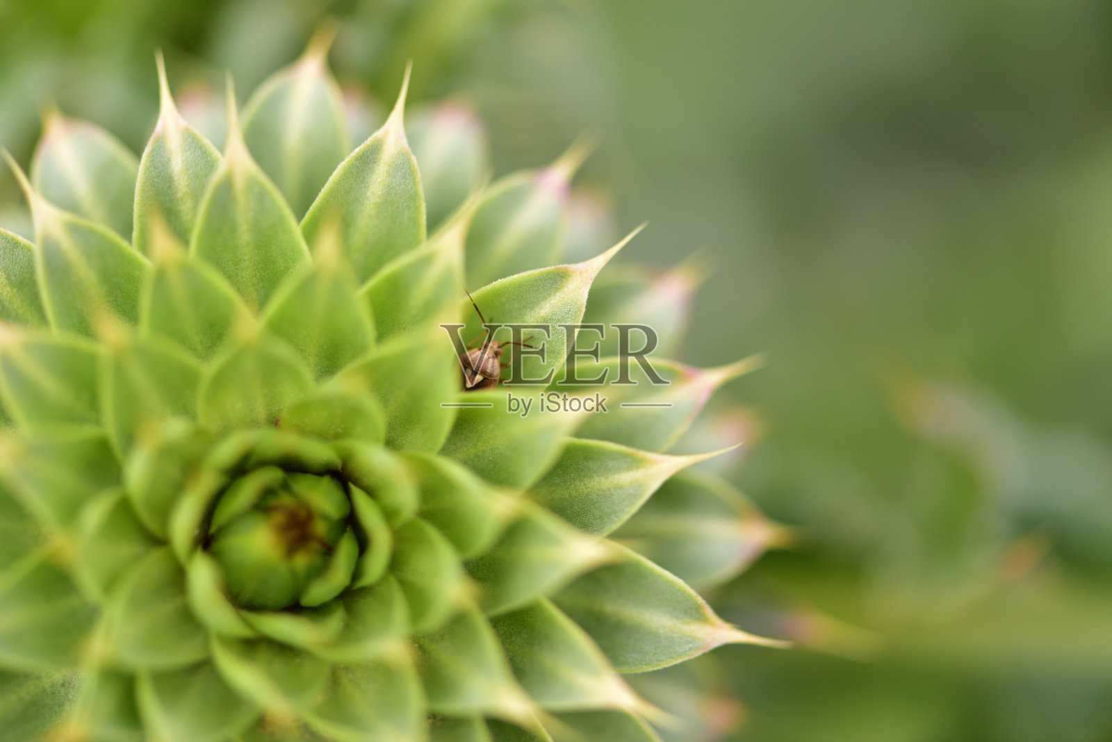 错误照片摄影图片