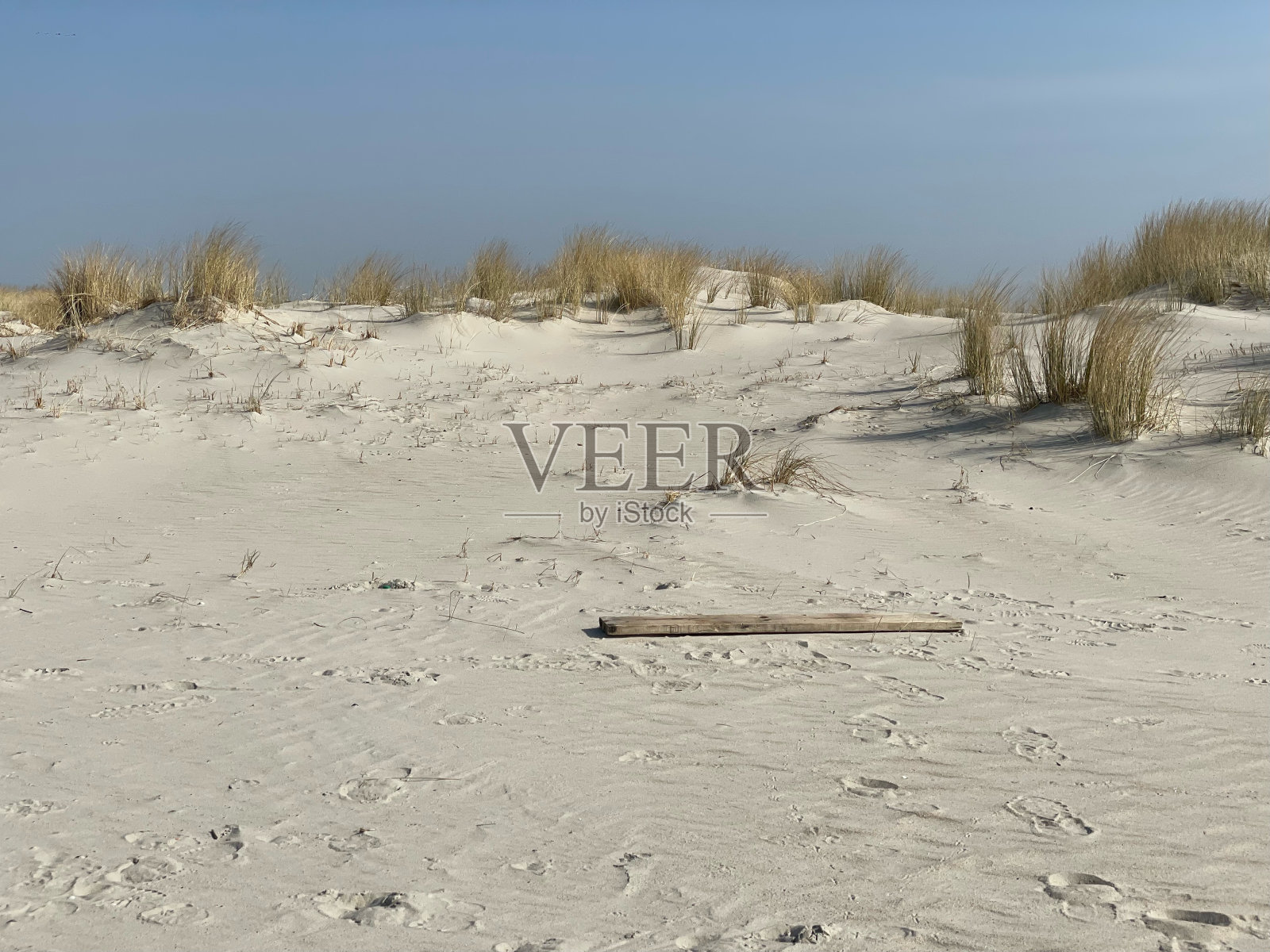 浮木坐落在Spiekeroog的海滩上照片摄影图片