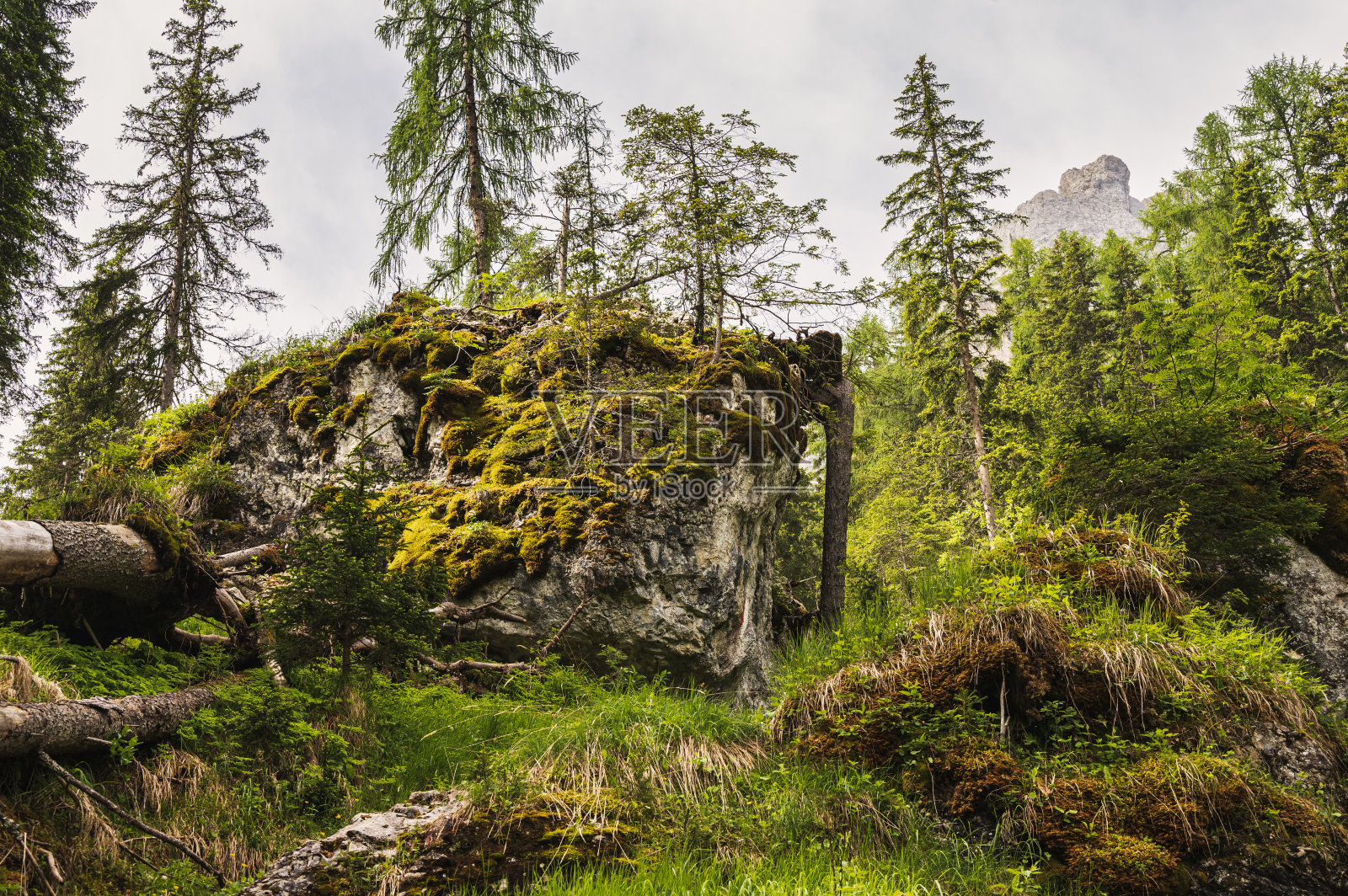 瓦尔·圣尼科洛，波扎在法萨，瓦尔在法萨，多洛米人，意大利照片摄影图片