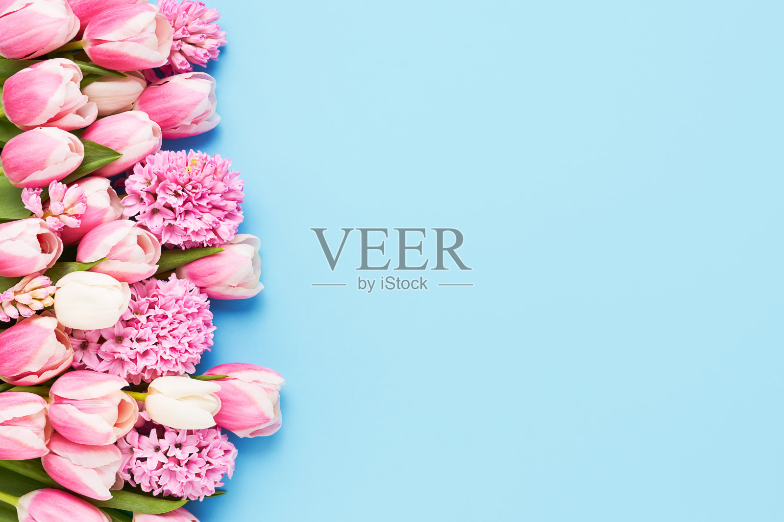 蓝色背景上的一束粉红色郁金香和风信子。母亲节、情人节、生日的概念照片摄影图片