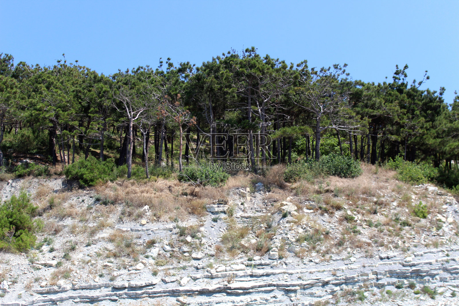 岩层和石头。夏天炎热的一天。照片摄影图片