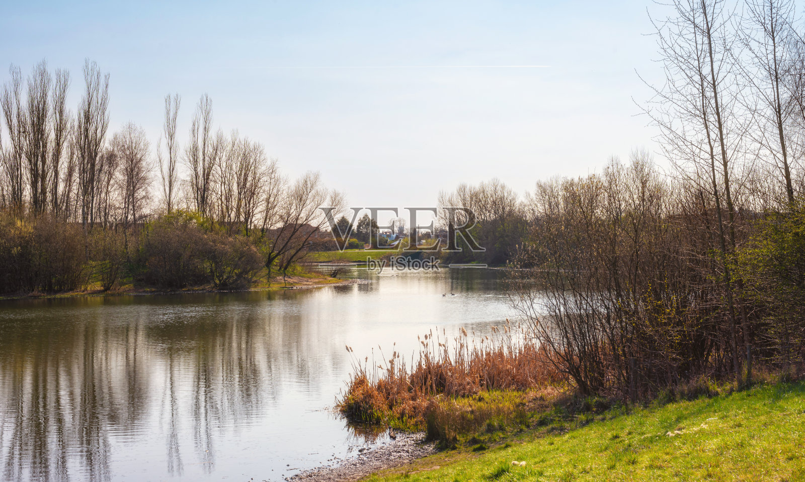 城市公园里的湖泊。照片摄影图片