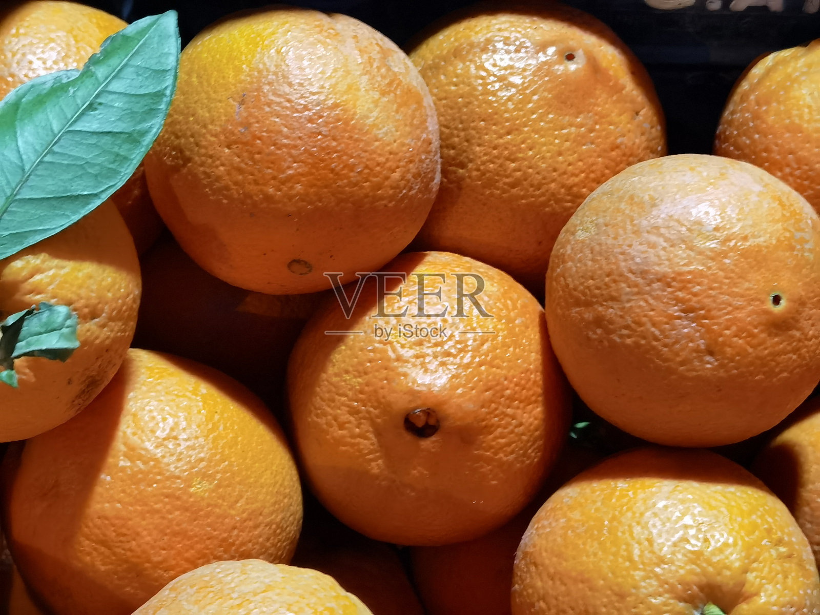 橙子有几片绿叶从橘子树上摘下来照片摄影图片